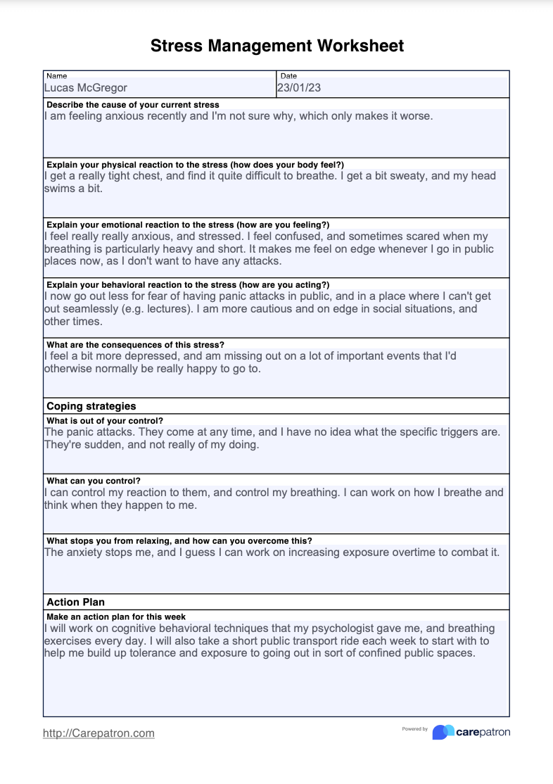 Stress Management Worksheet Example (Sample)