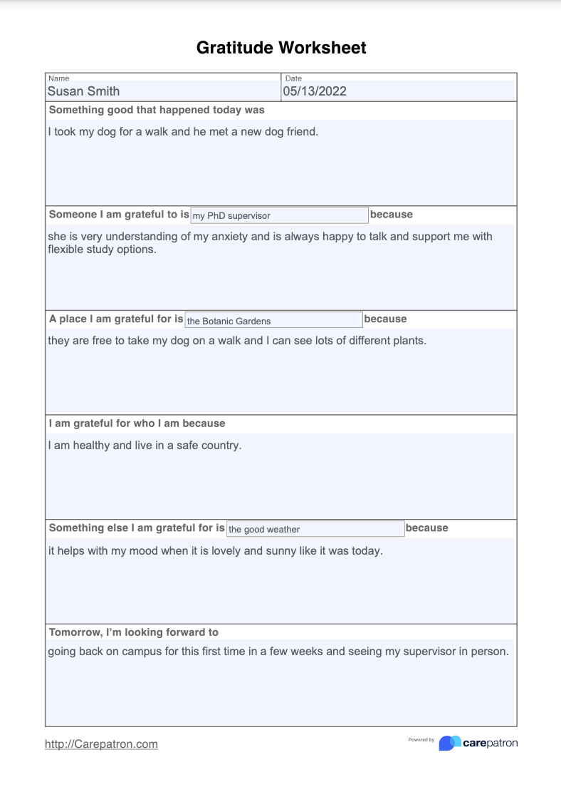 Gratitude Worksheet Example (Sample)