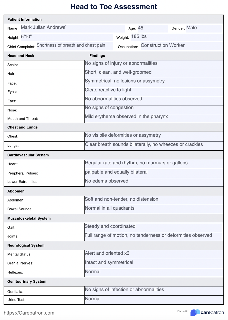 Head To Toe Assessment Example (Sample)