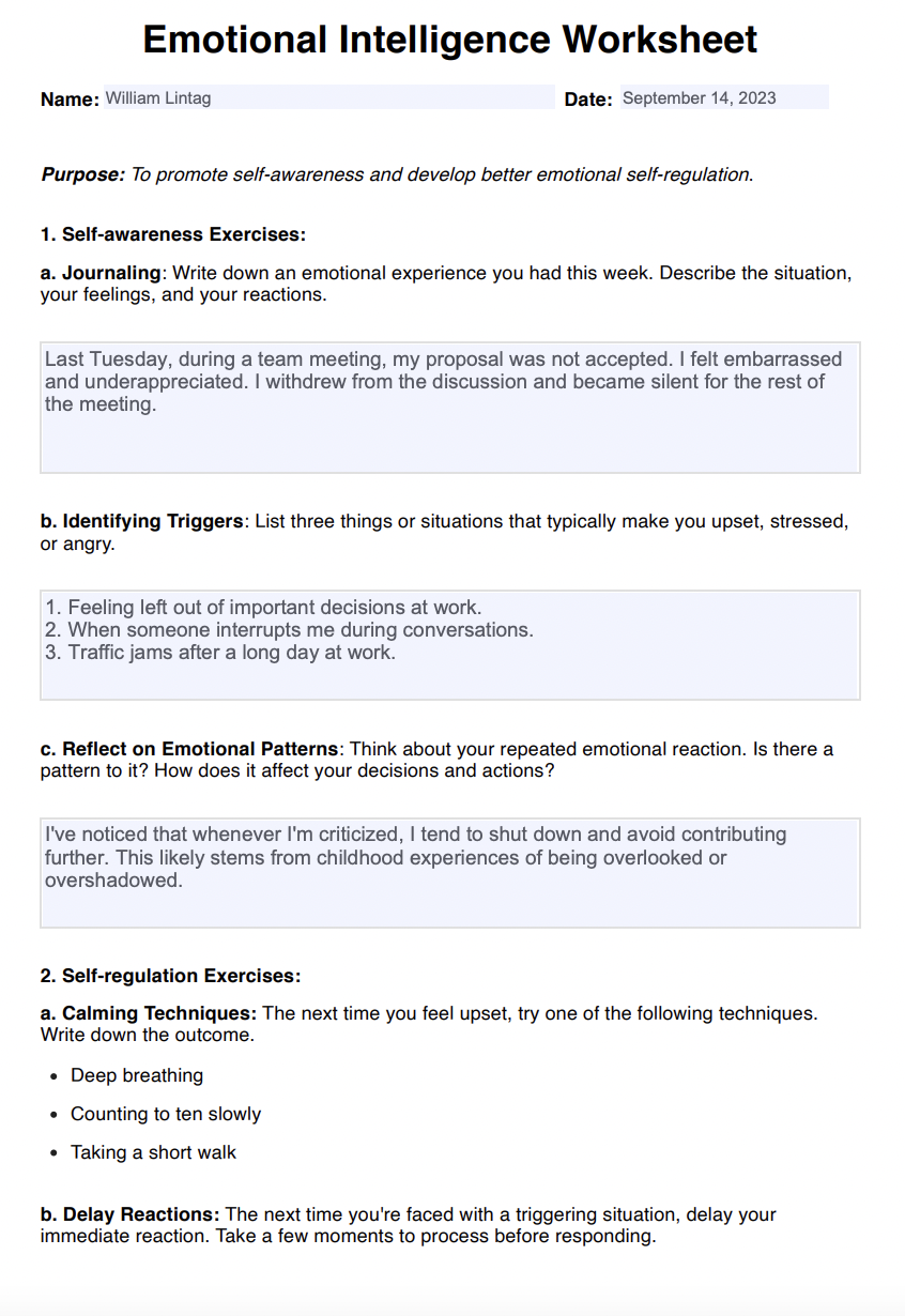 Emotional Intelligence Worksheets Example (sample)