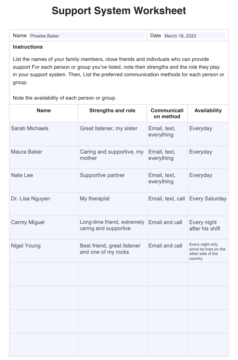 Support System Worksheet Example (sample)