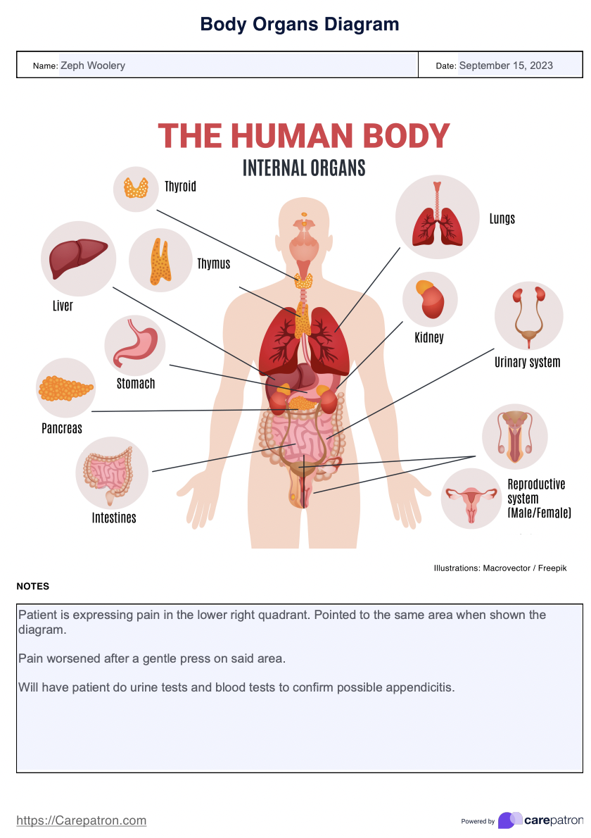 Organ Maps Example (sample)