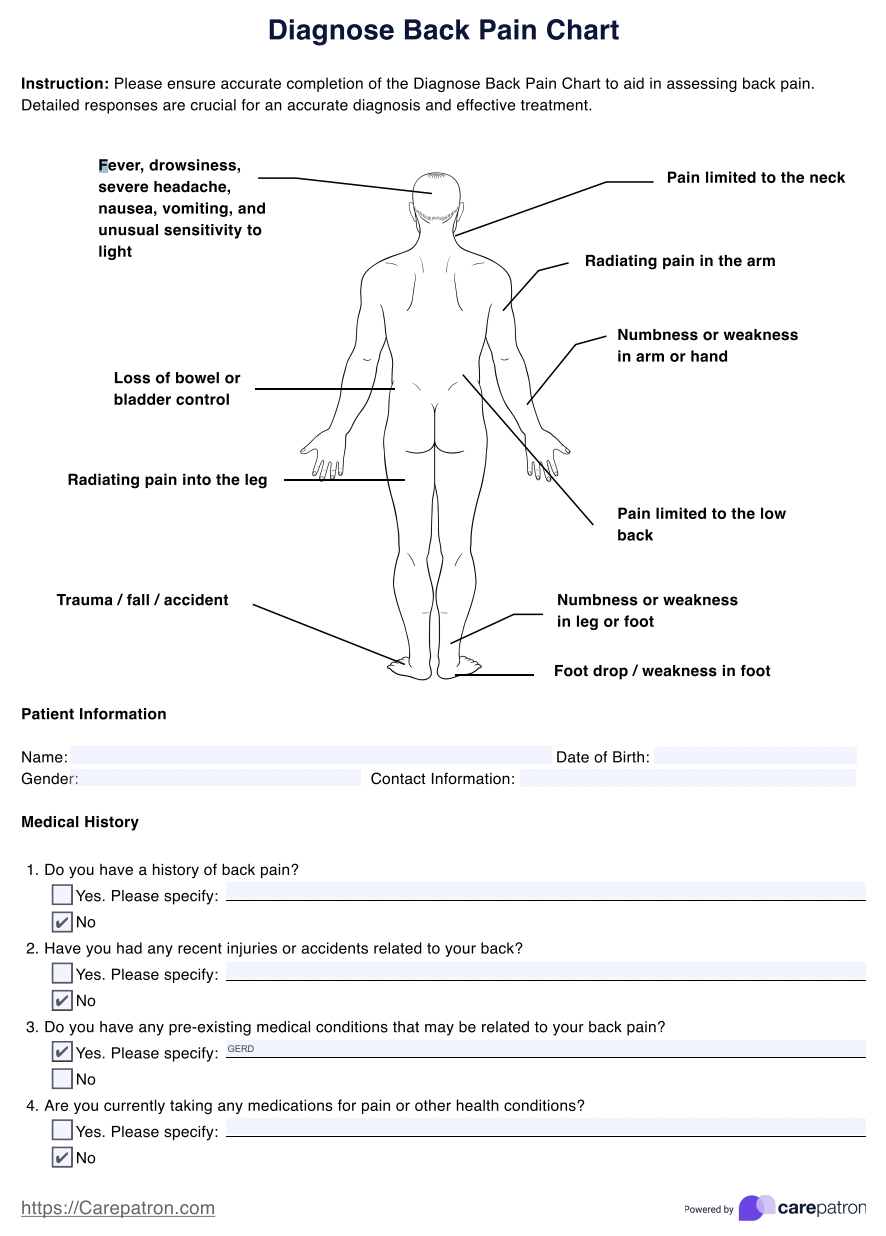 Diagnose Back Pain Charts Example (sample)