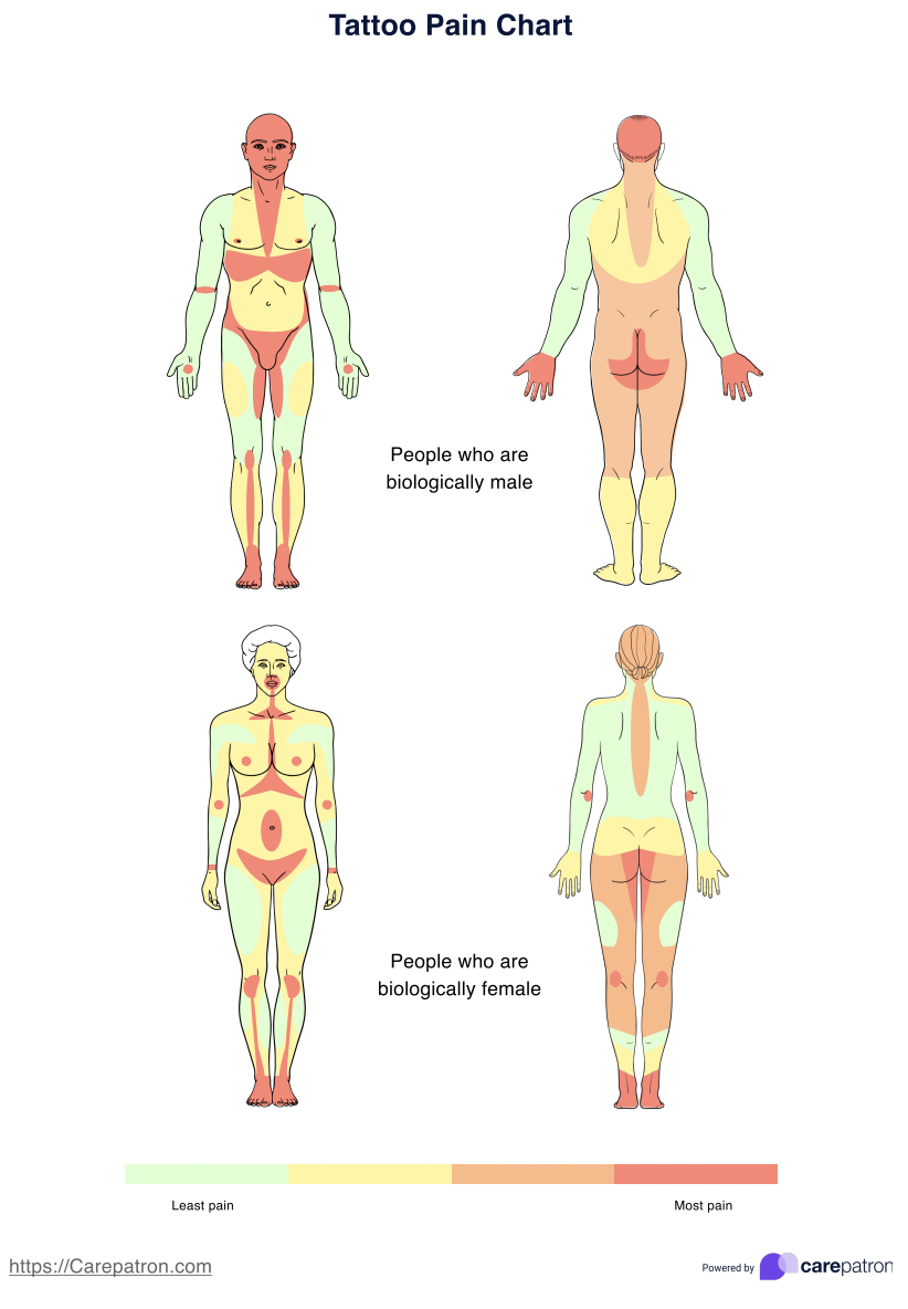 Tattoo Pain Charts Example (Sample)