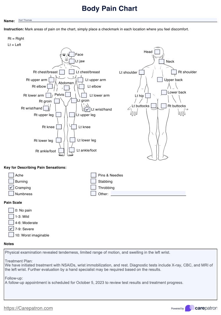 Body Pain Charts Example (Sample)