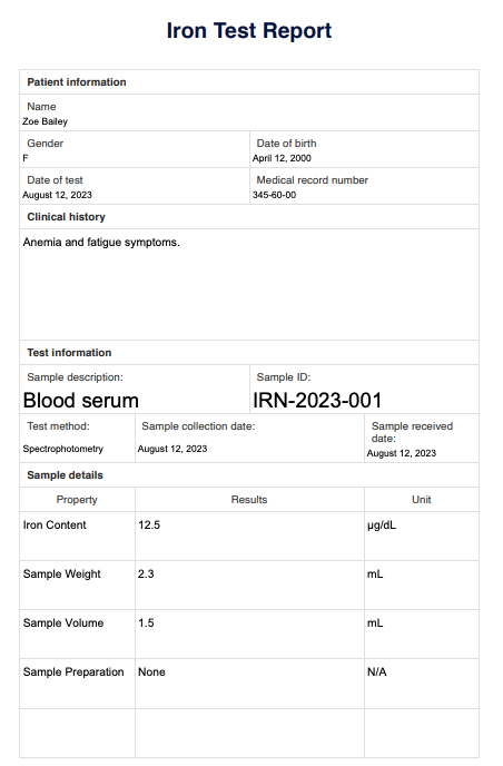 Iron Test Report Example (sample)