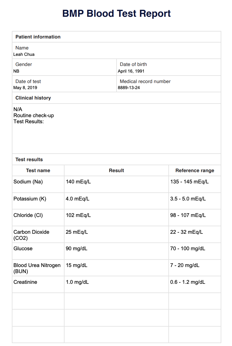 BMP Blood Test Report Example (sample)