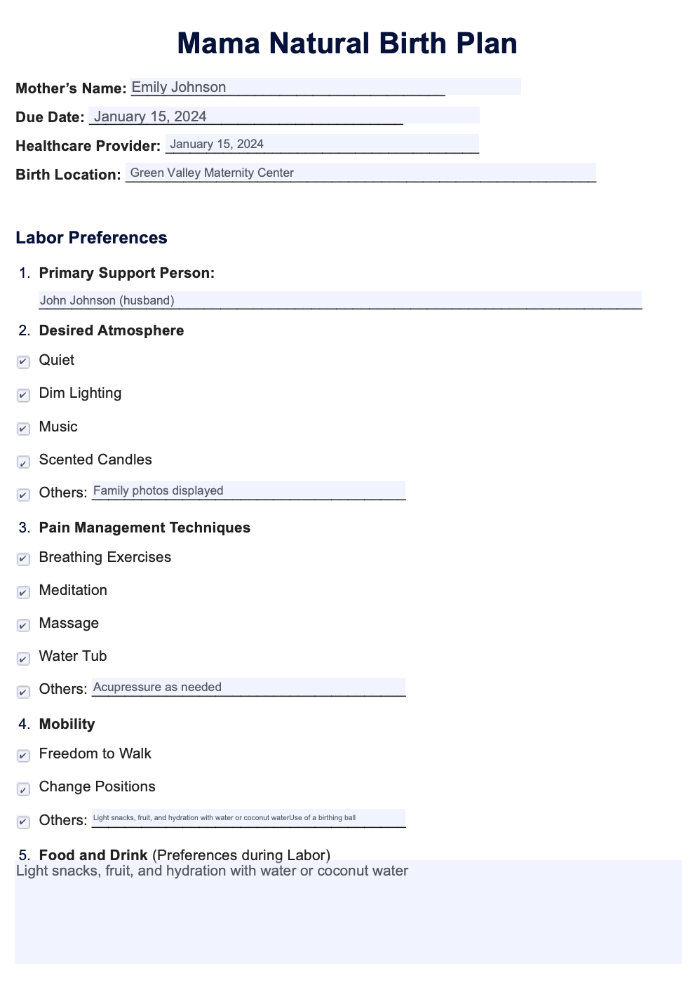 Mama Natural Birth Plan Example
