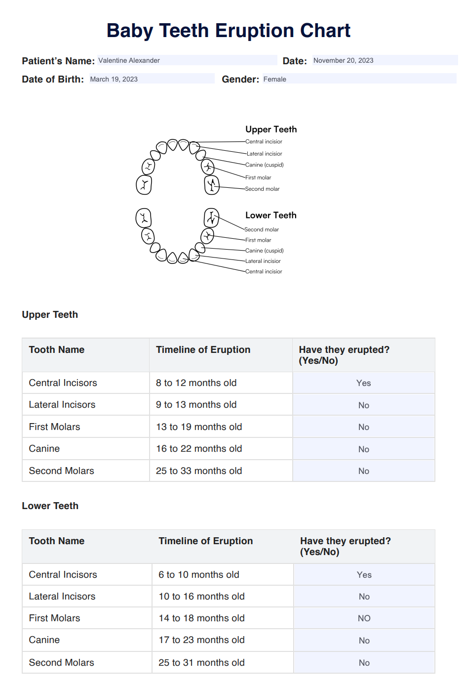 Baby Teeth Eruption Chart Example