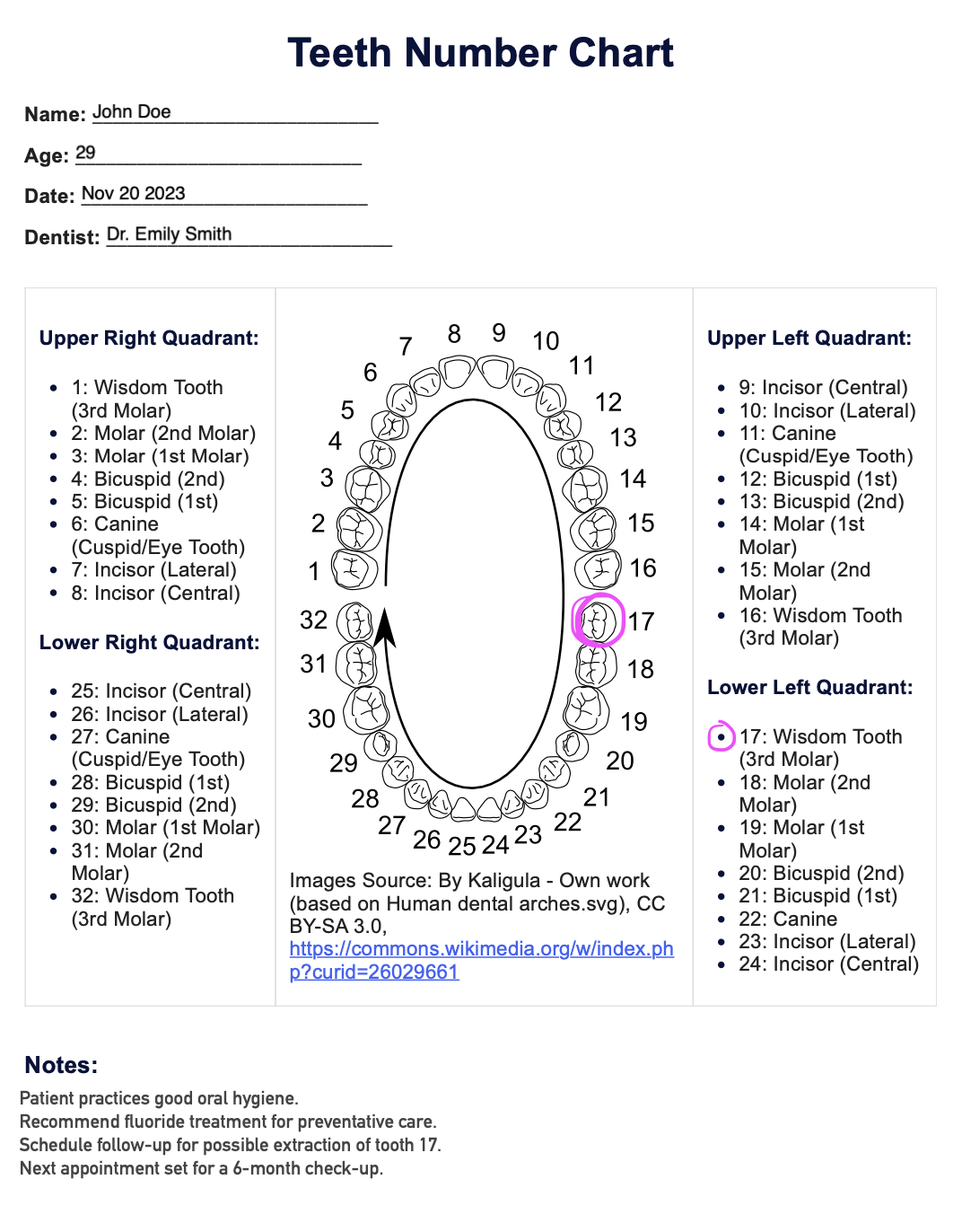 Teeth Number Chart Sample