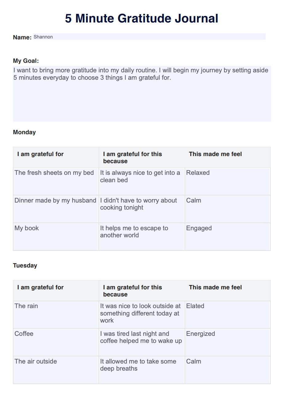 5 Minute Gratitude Journal Example