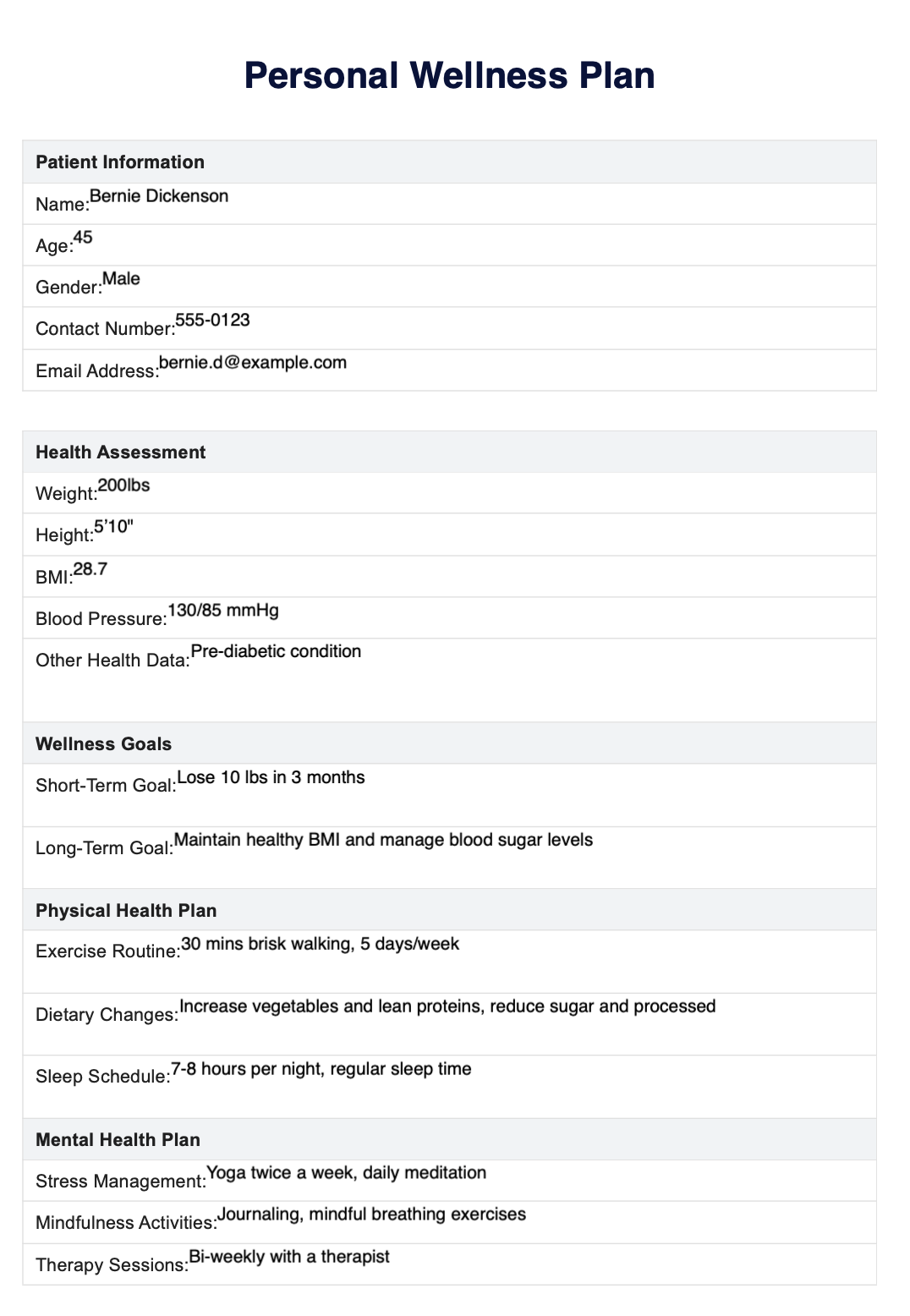 Personal Wellness Plan Template Example