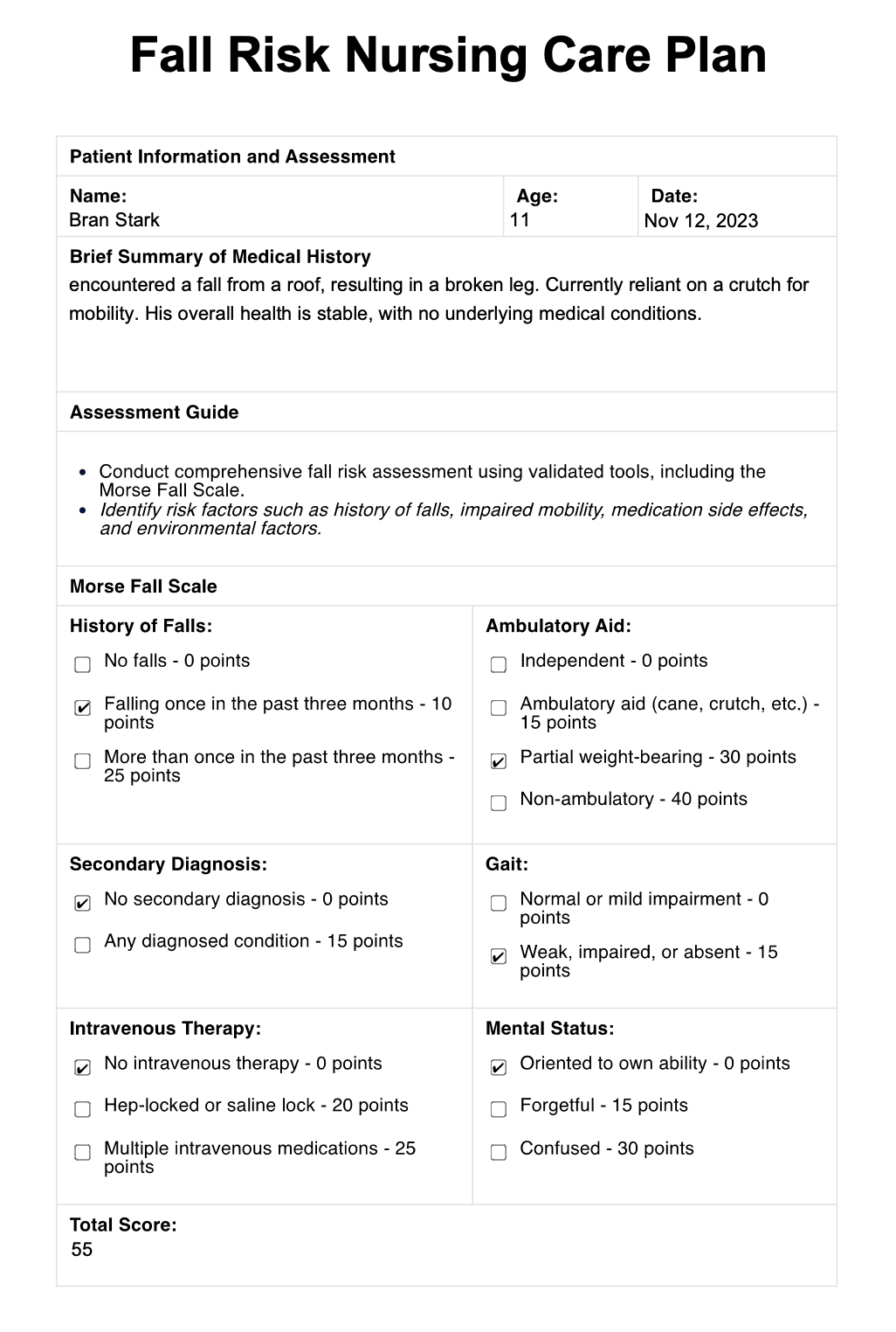 Fall Risk Nursing Care Plan example (sample)