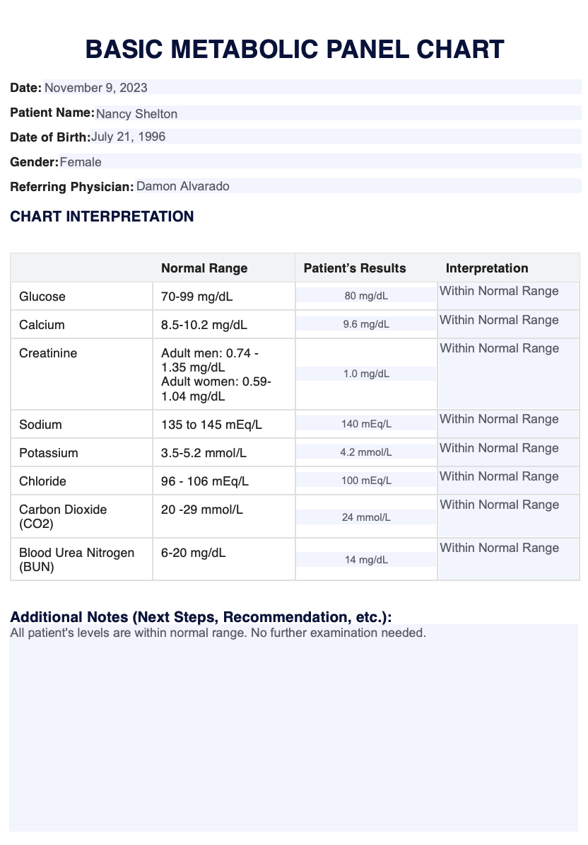 Basic Metabolic Panel Chart example (sample)