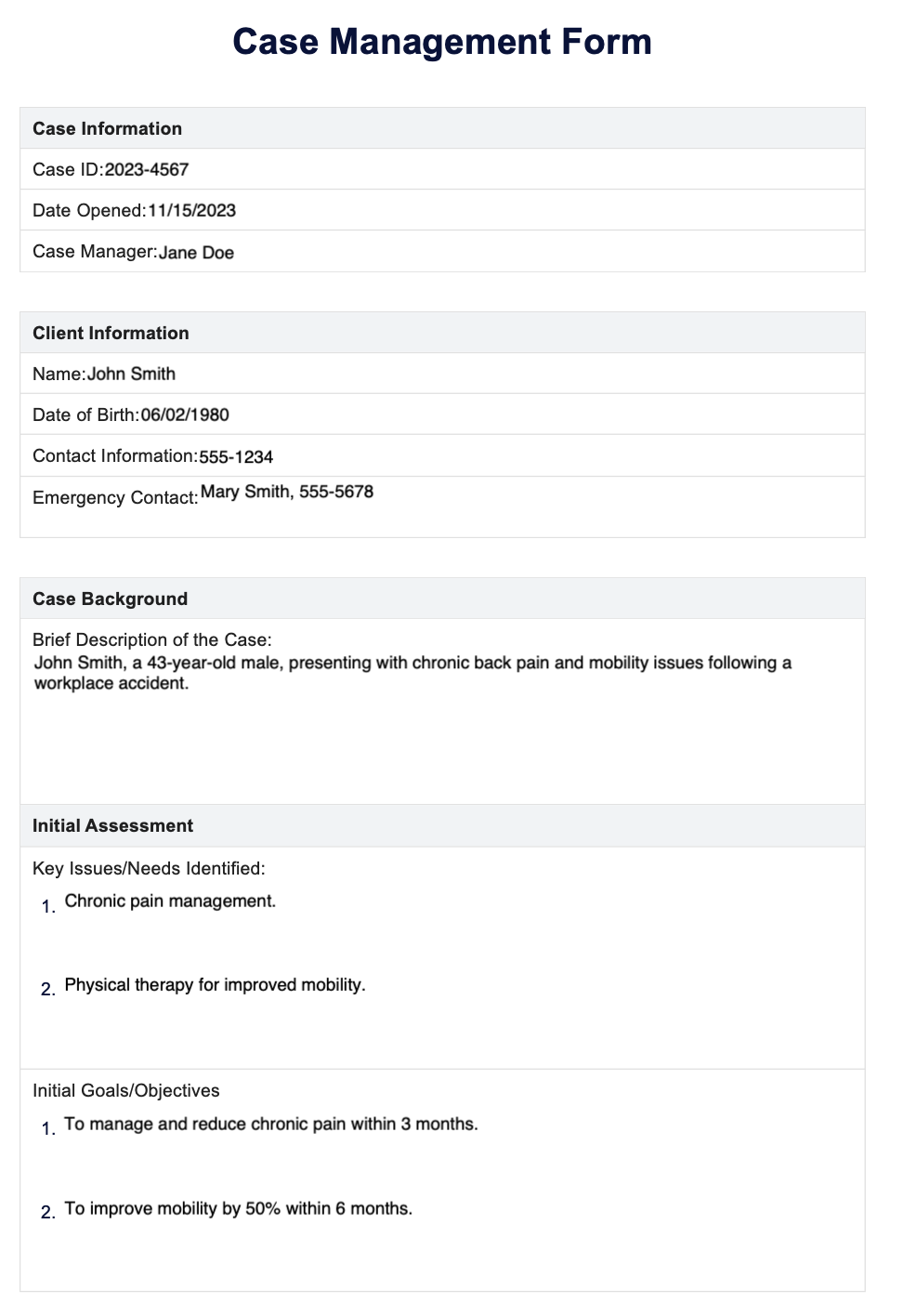 Case Management Form example (sample)