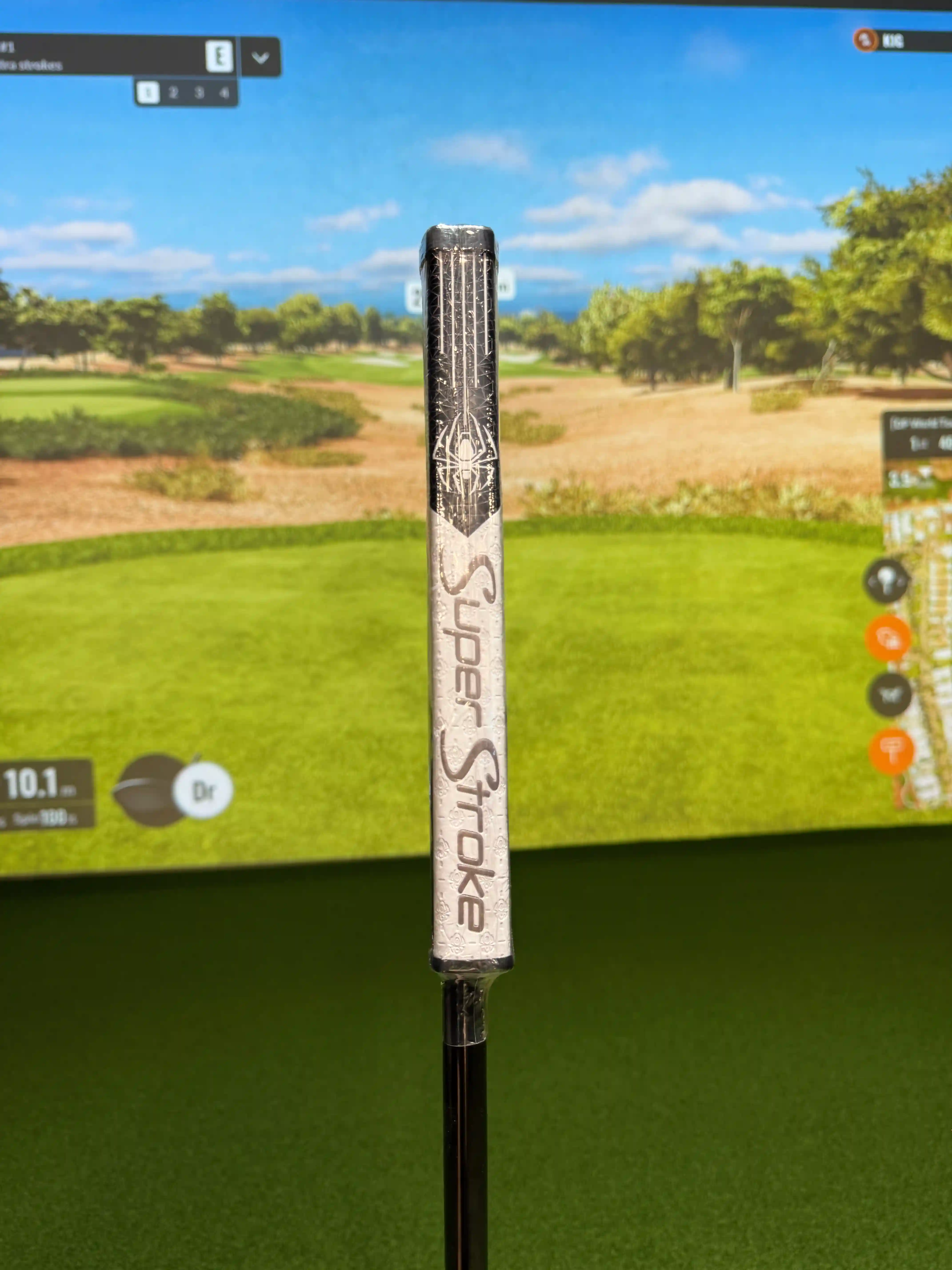 Karratha Indoor Golf TaylorMade Spider ZT putter 35'