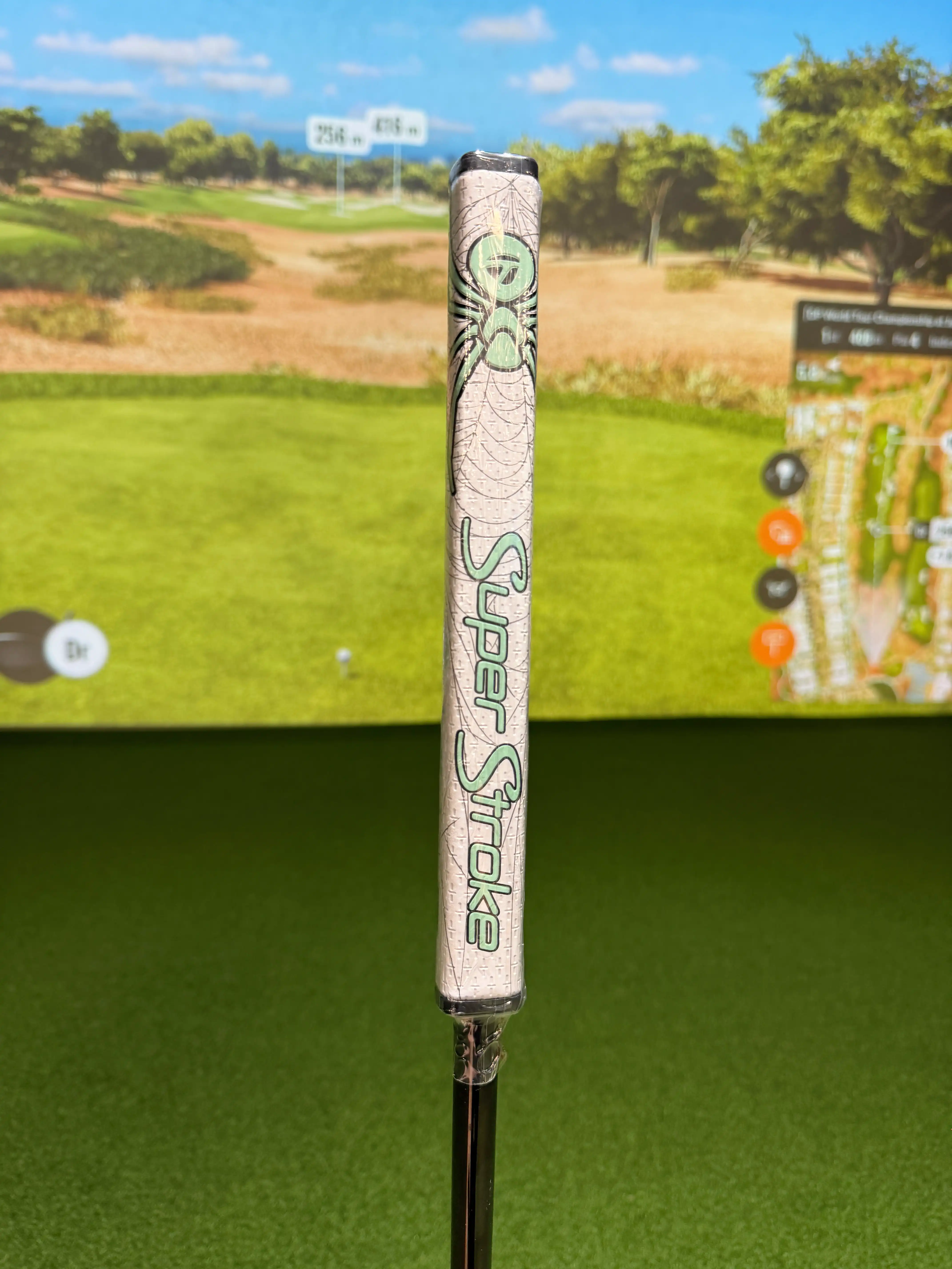Karratha Indoor Golf TaylorMade Spider Tour X putter 33" Ice Mint