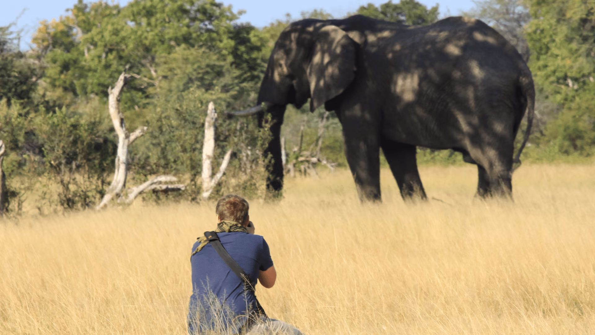 The Hwange Morning