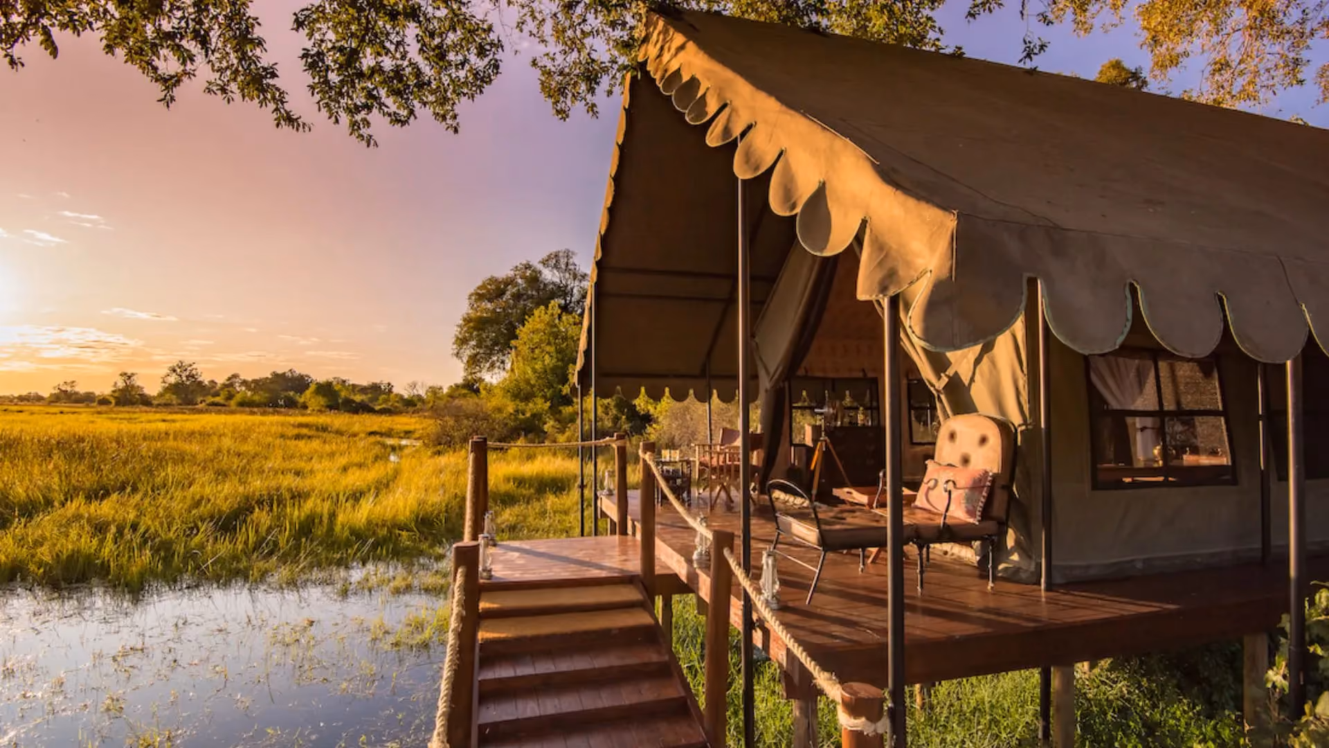Why does a safari cost so much?