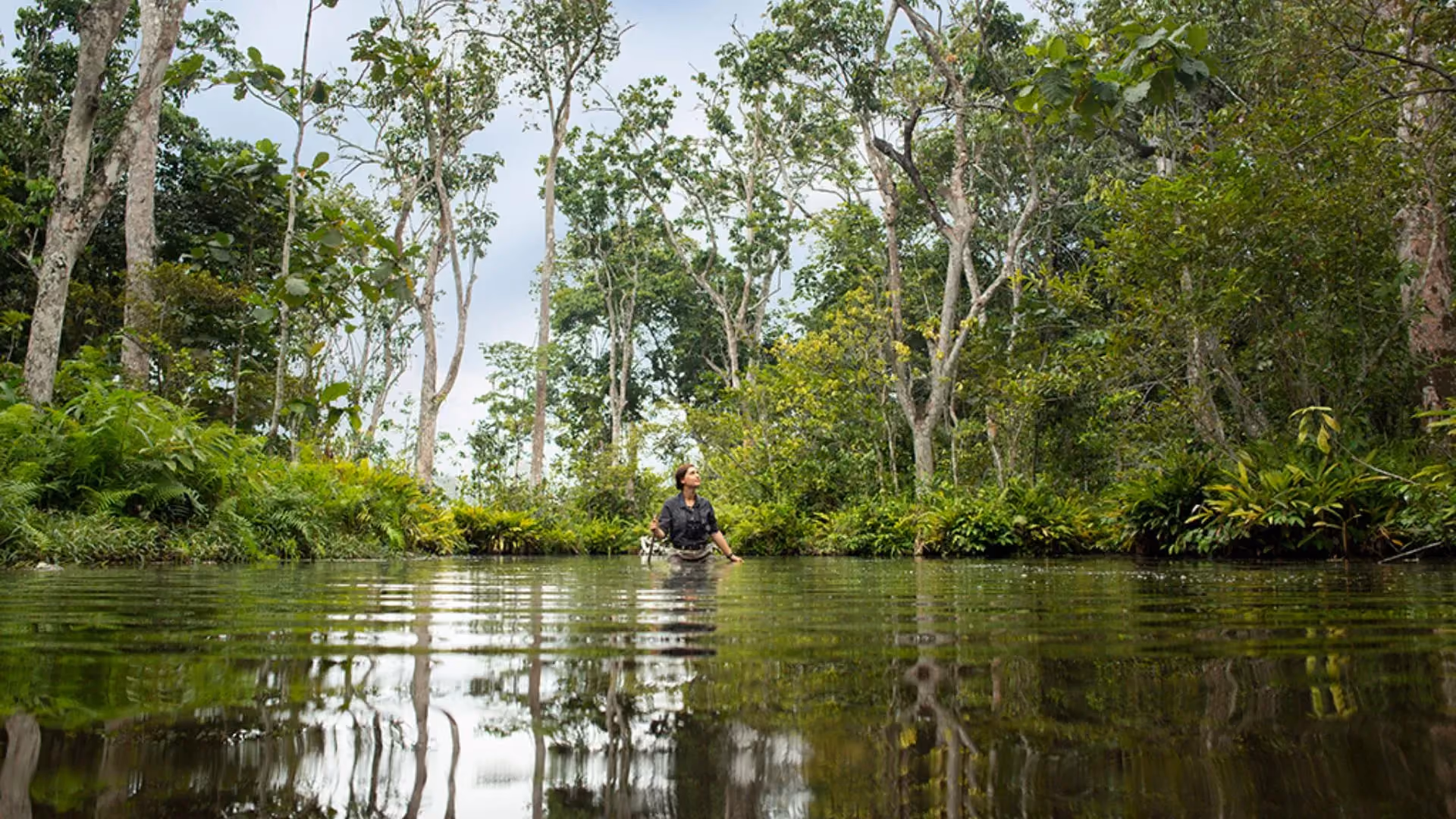 People wading through tropical Congo river