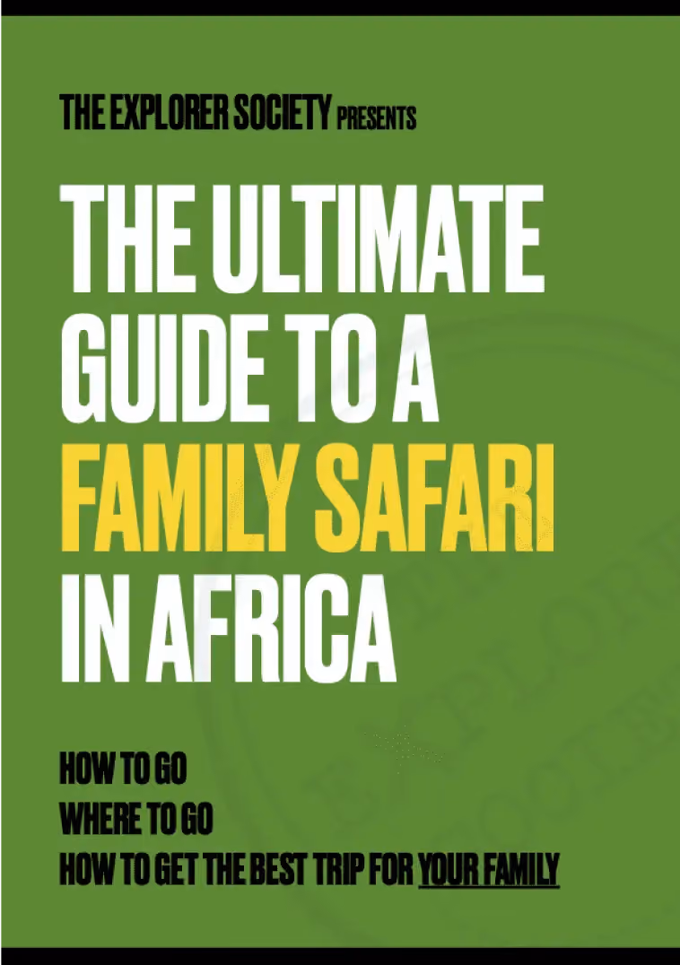 The Ultimate Guide to a Family Safari in Africa