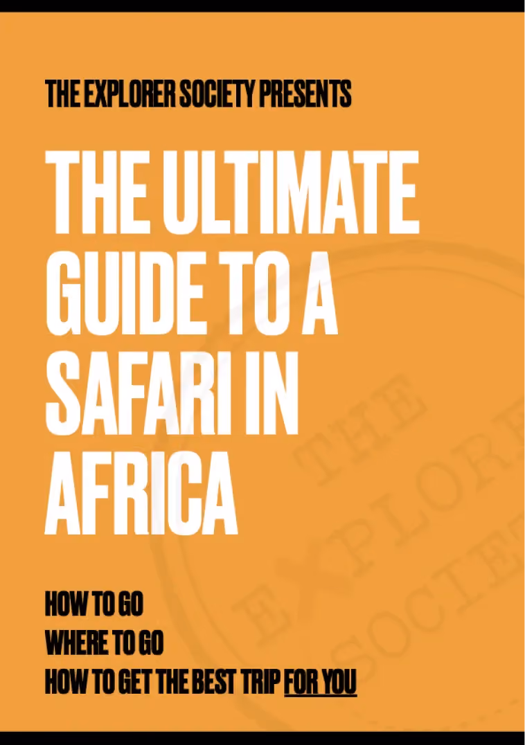 The Ultimate Guide to a Safari in Africa
