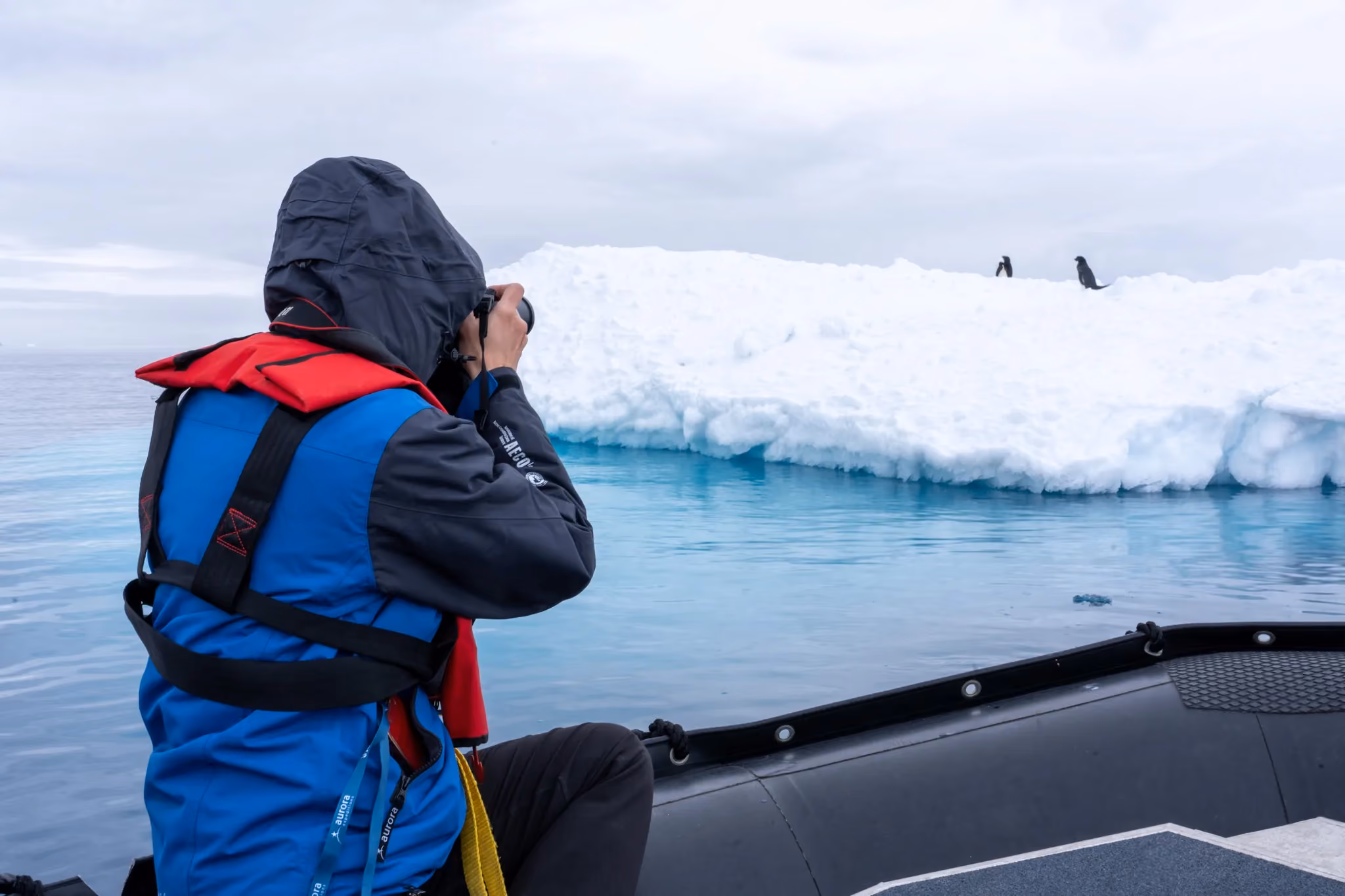 Antarctica 101