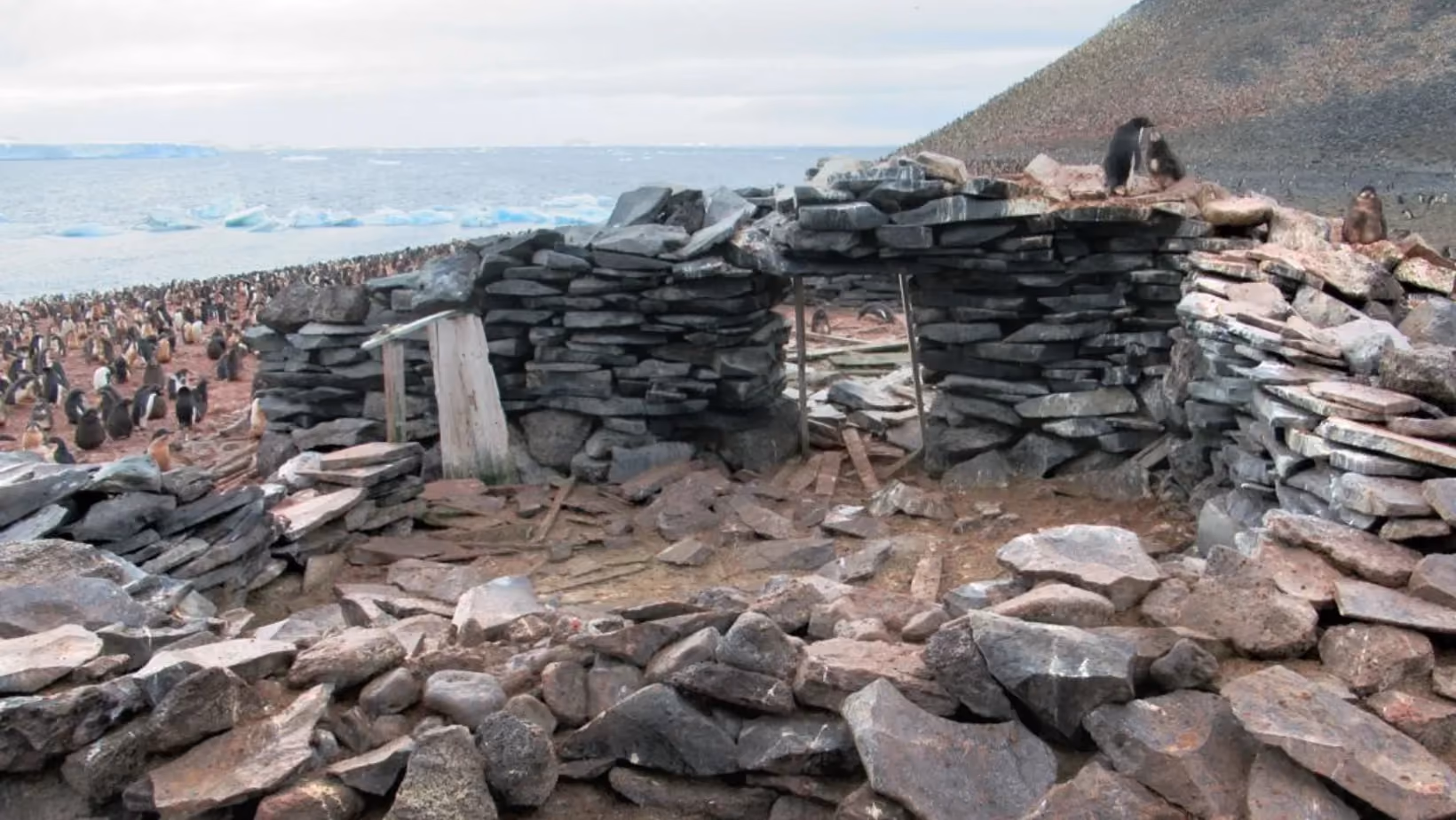 The remains of the Larson hut on Paulet Island, 100 years later