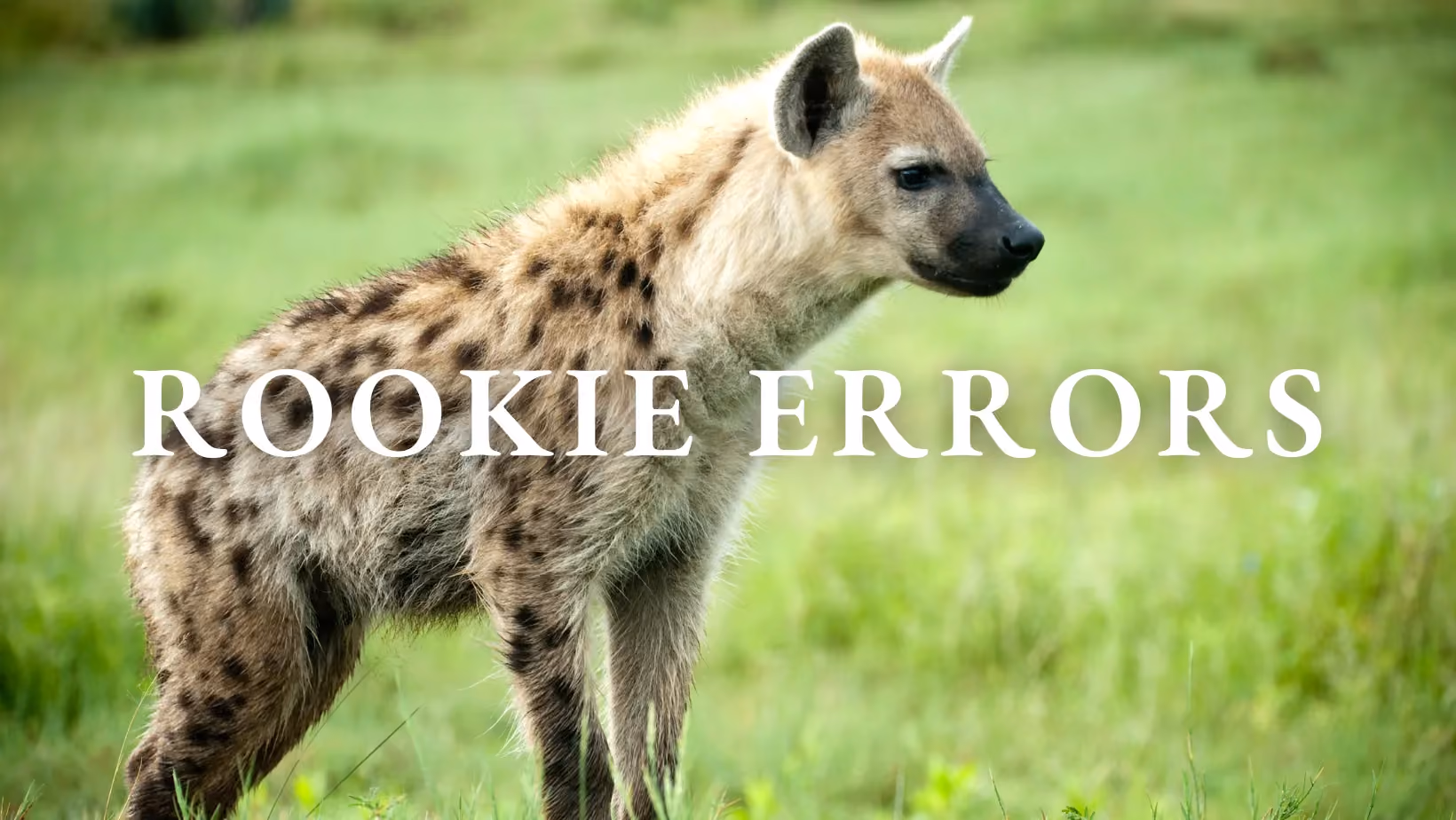 Rookie Errors