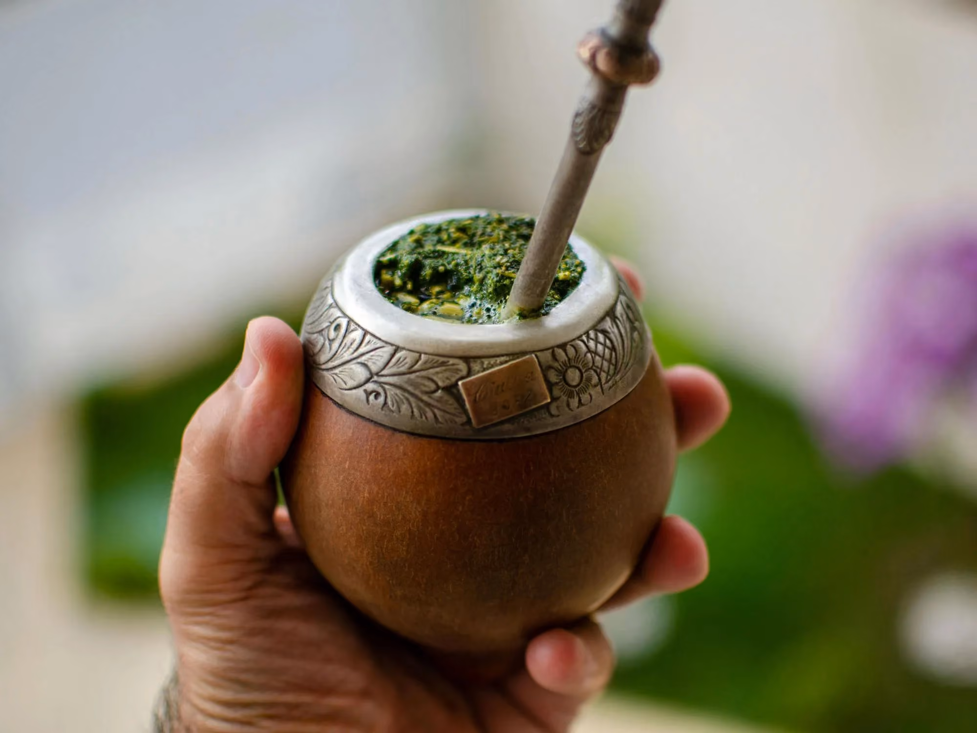 Gourd filled with yerba mate