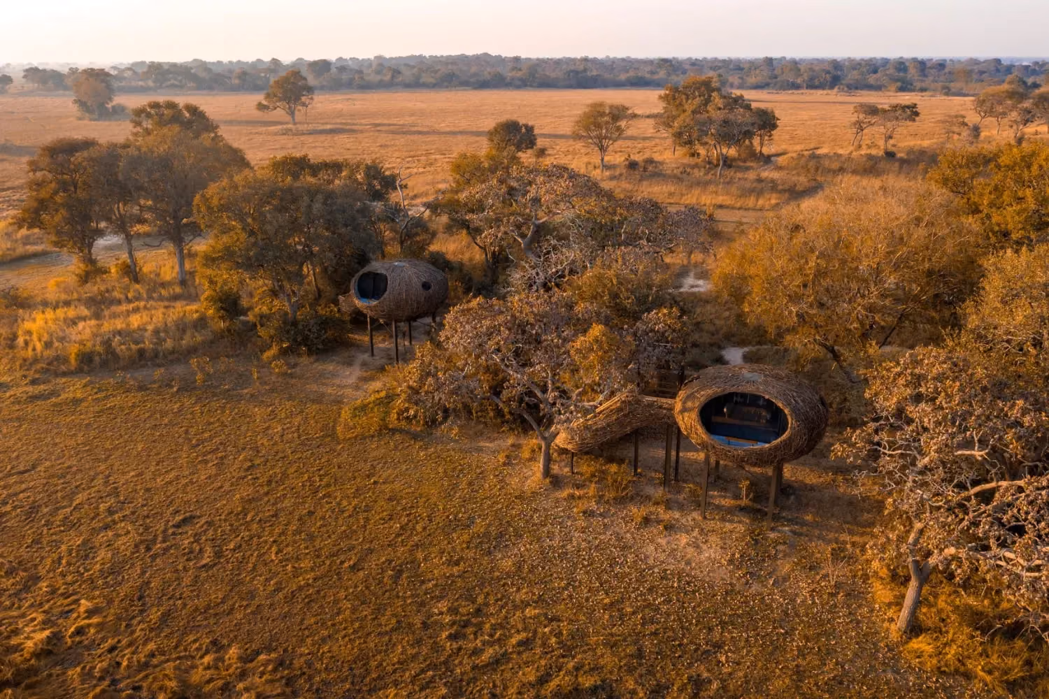 Two nest like rooms on the African plains