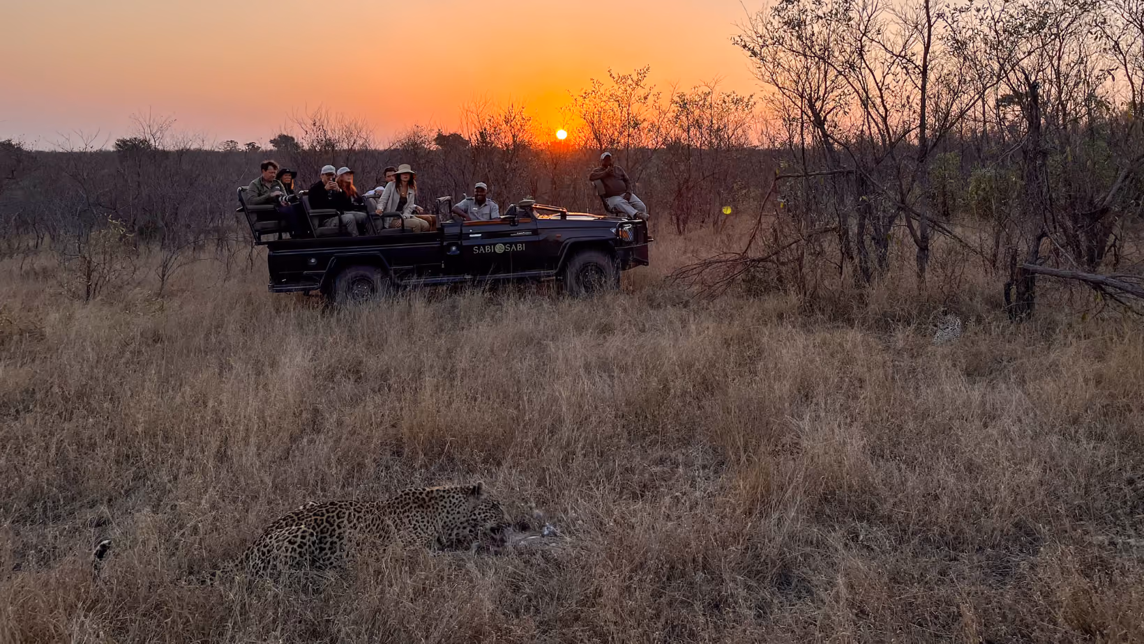People on safari in South Africa at Sabi Sabi looking at leopard in front of safari vehicle