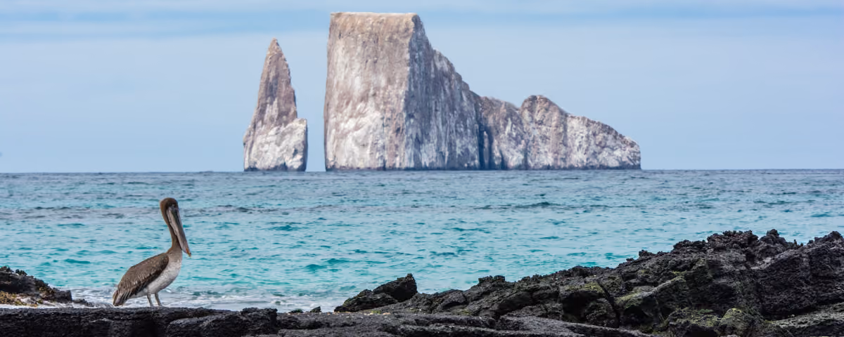 Should You Be Using AI to Plan Your Travels?