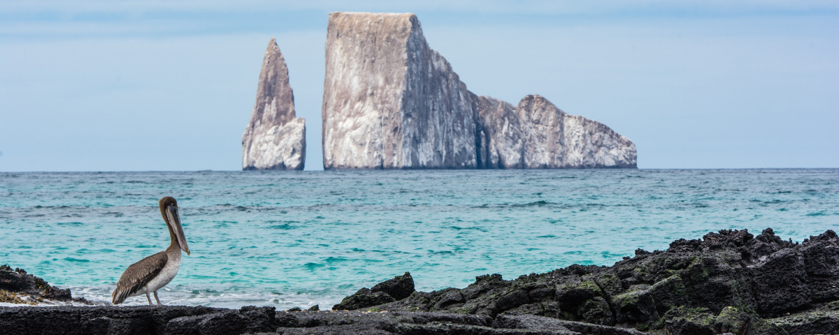 Should You Be Using AI to Plan Your Travels?