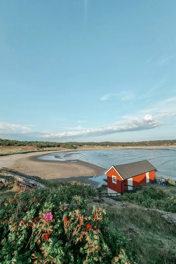 Falkenberg strand med böljande sanddyner och havsutsikt.