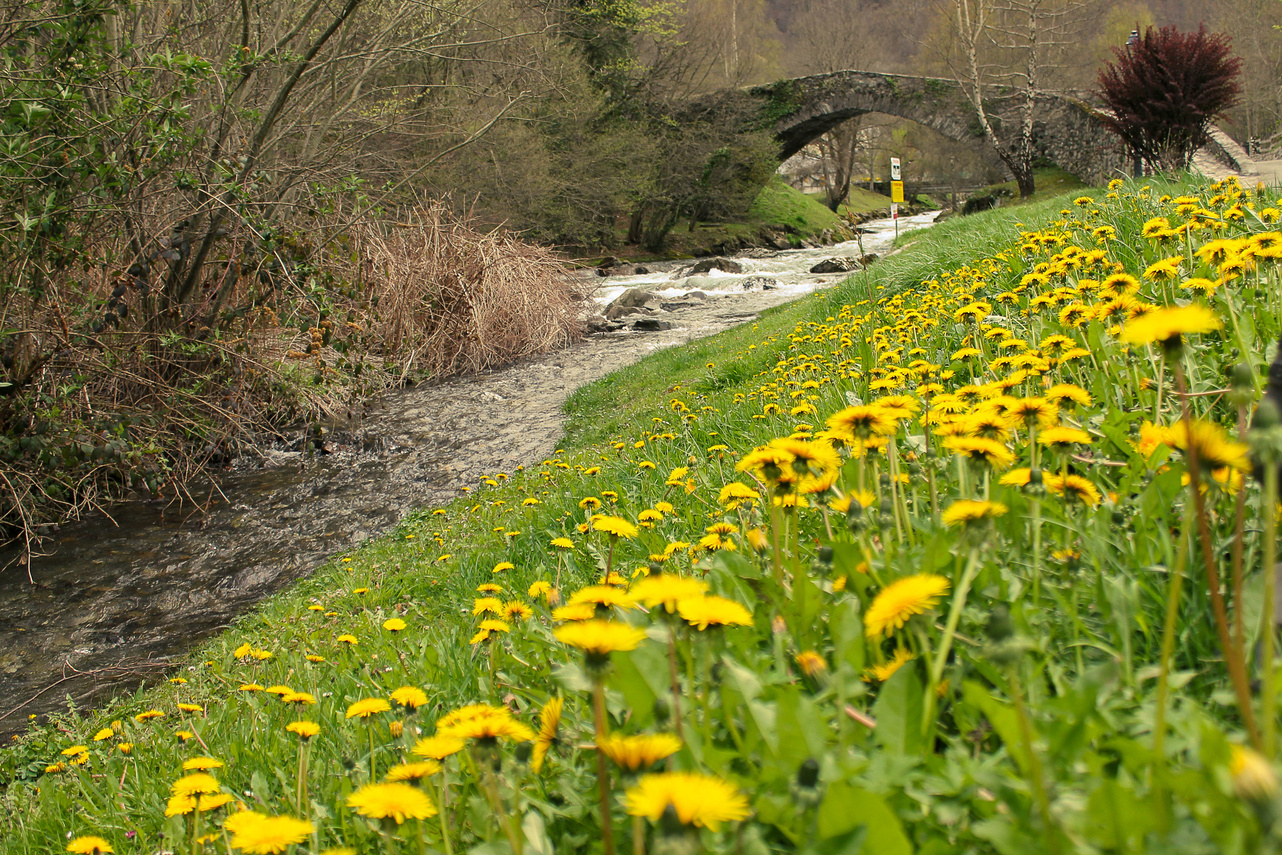 Gave, Val d'Azun, Hautes-Pyrénées