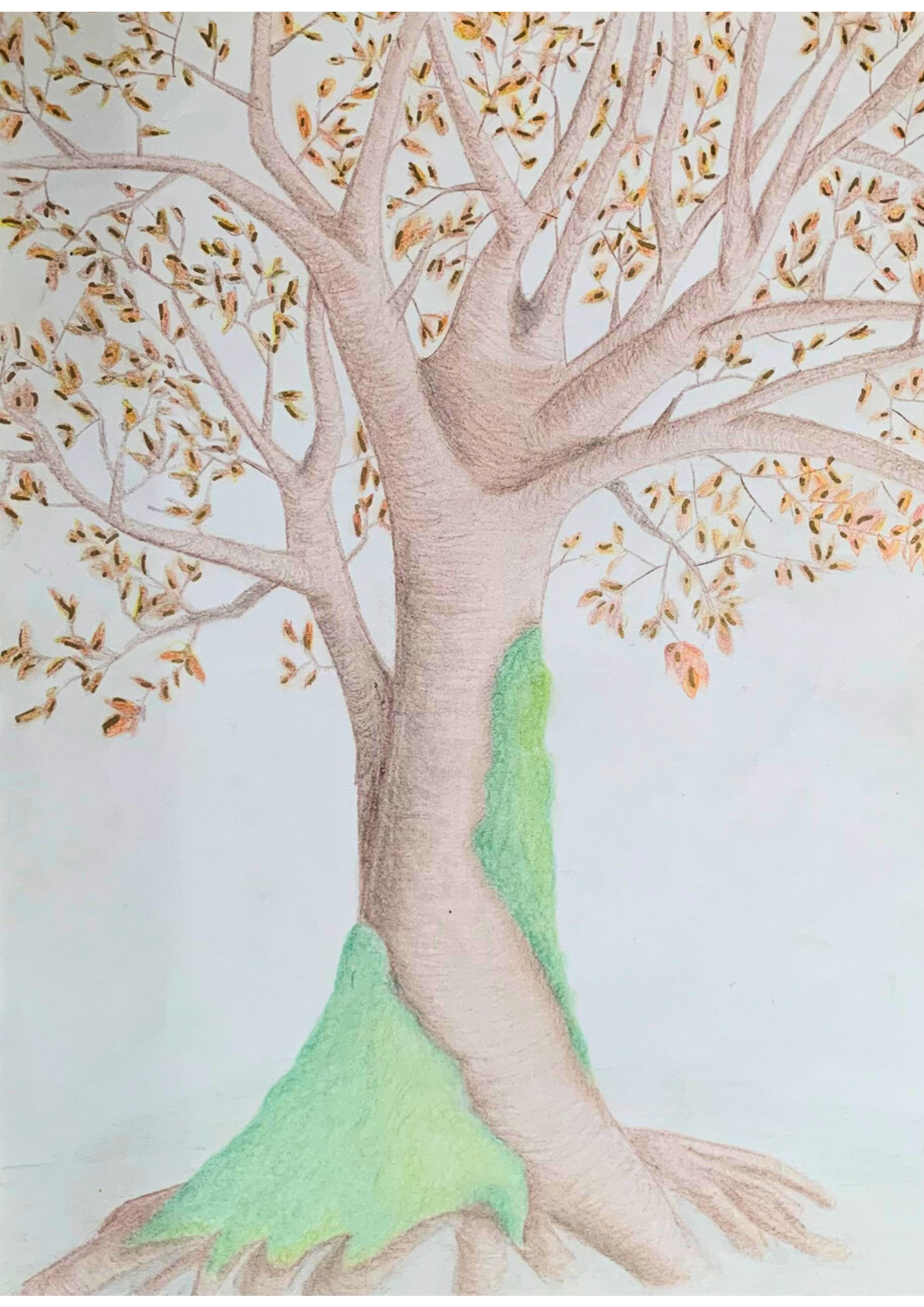 Dessin arbre