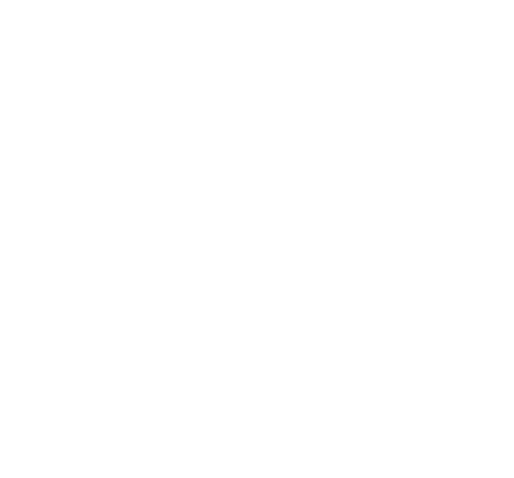 dolphin capital and snowworld