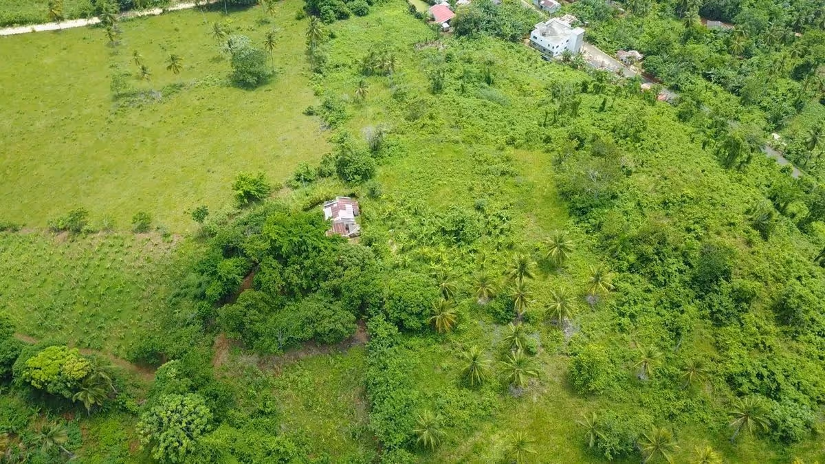 real estate las terrenas