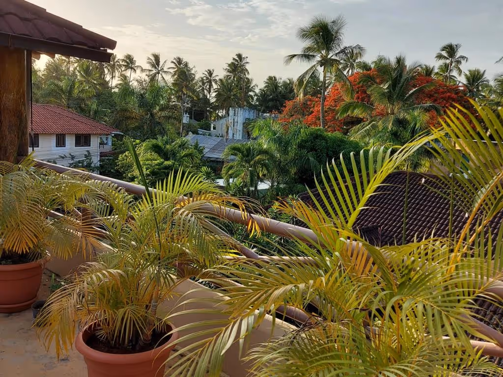 real estate las terrenas