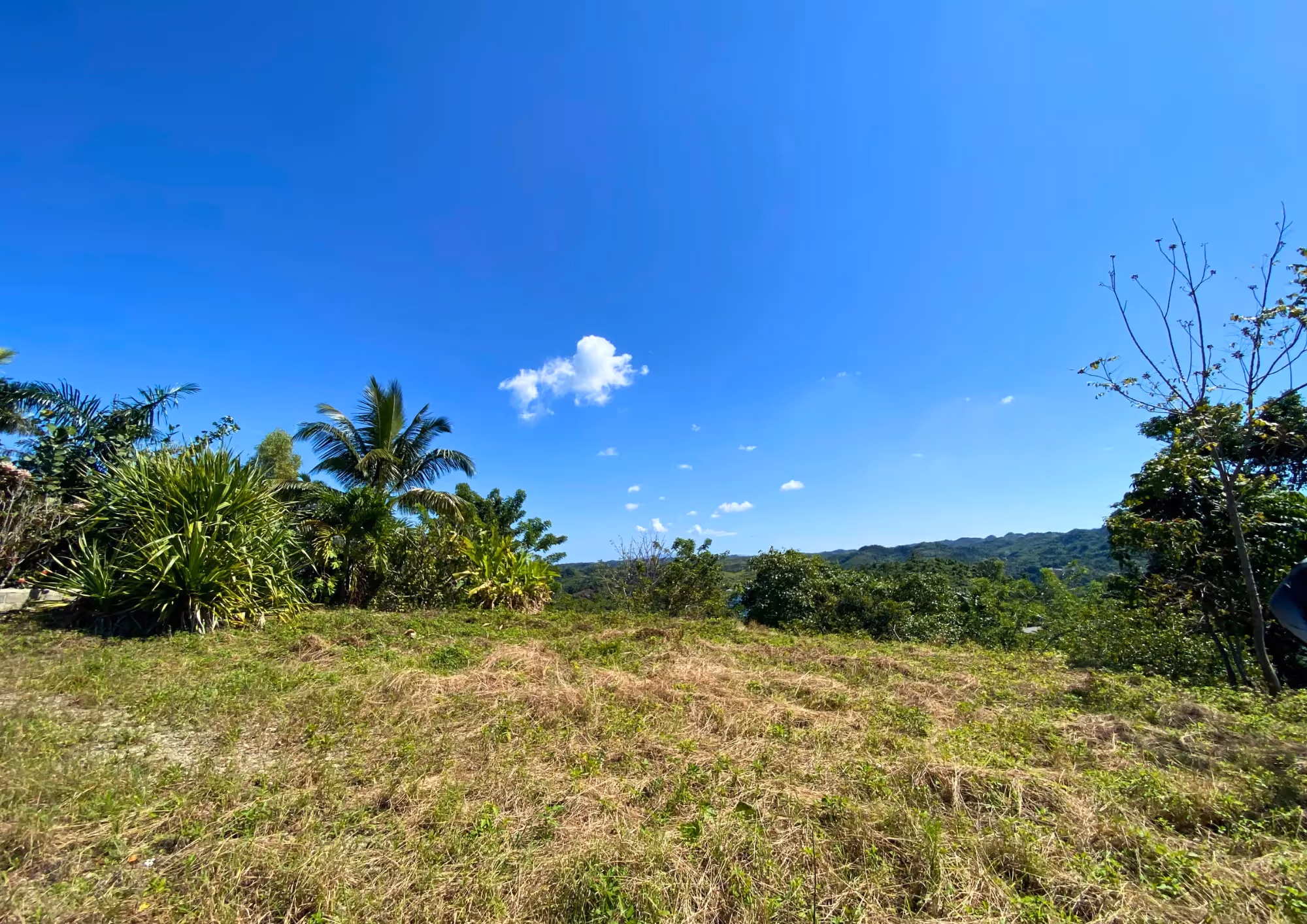 photo of property in dominican republic