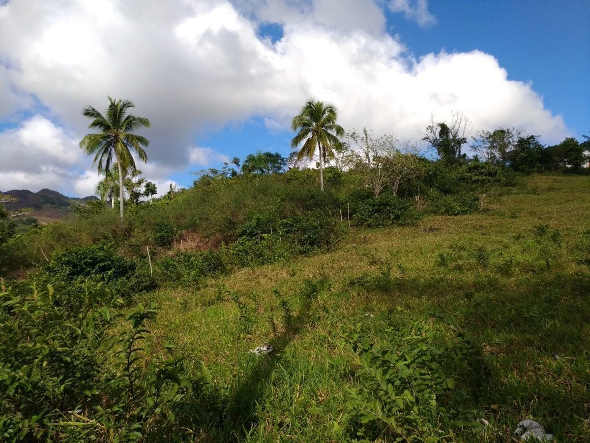 photo of property in dominican republic