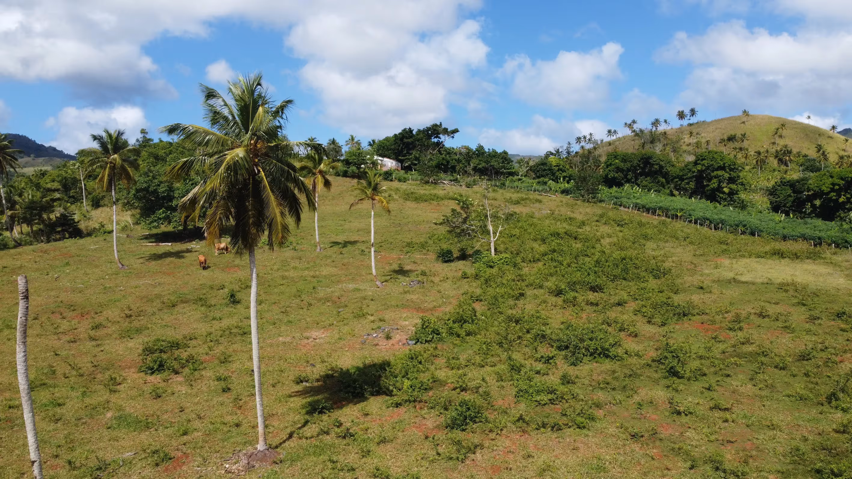 photo of property in dominican republic