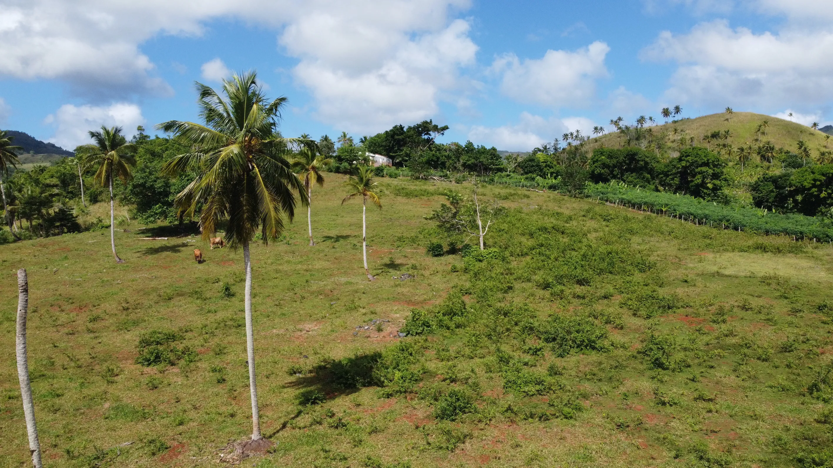 photo of property in dominican republic