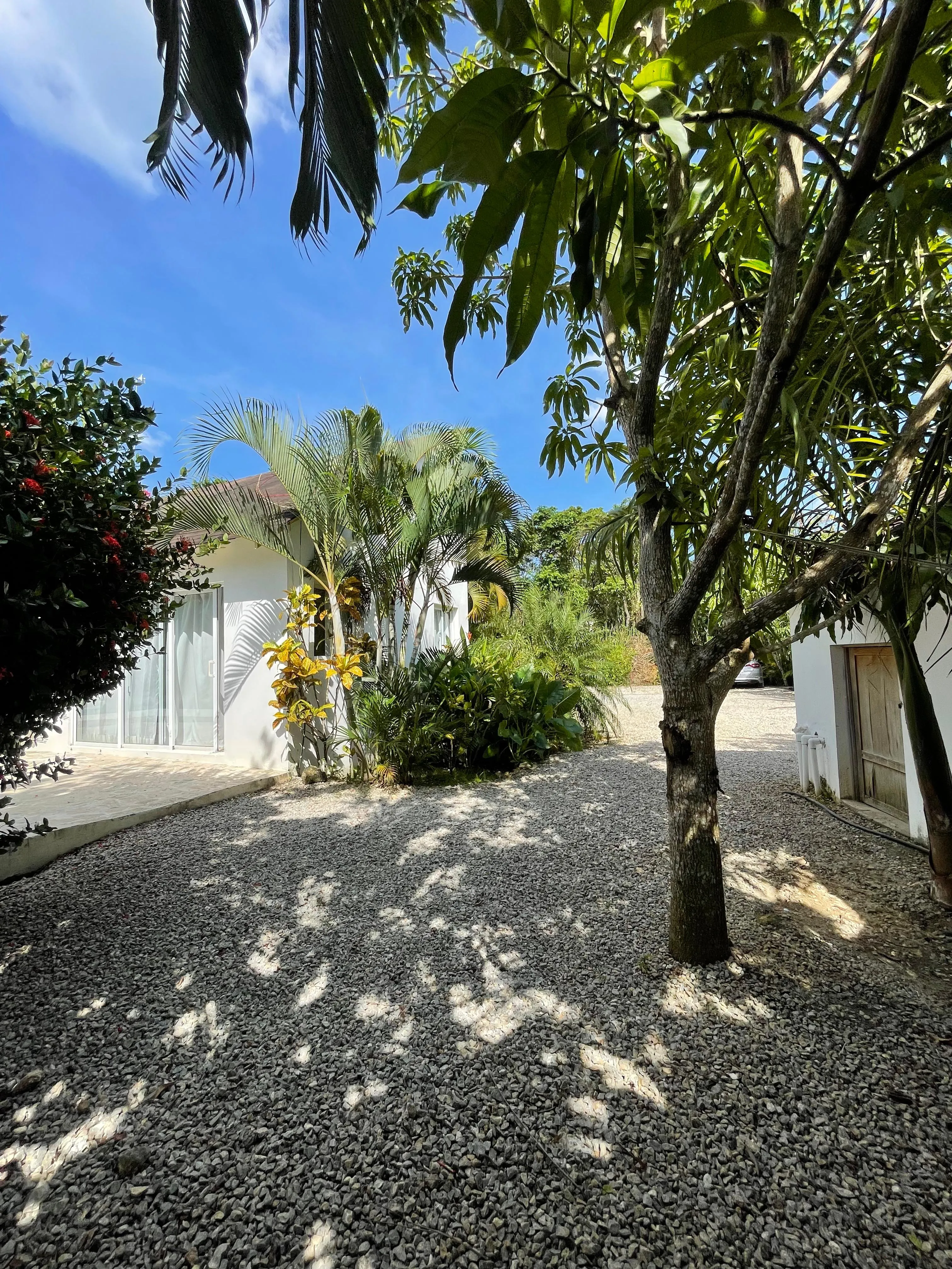 photo of property in dominican republic