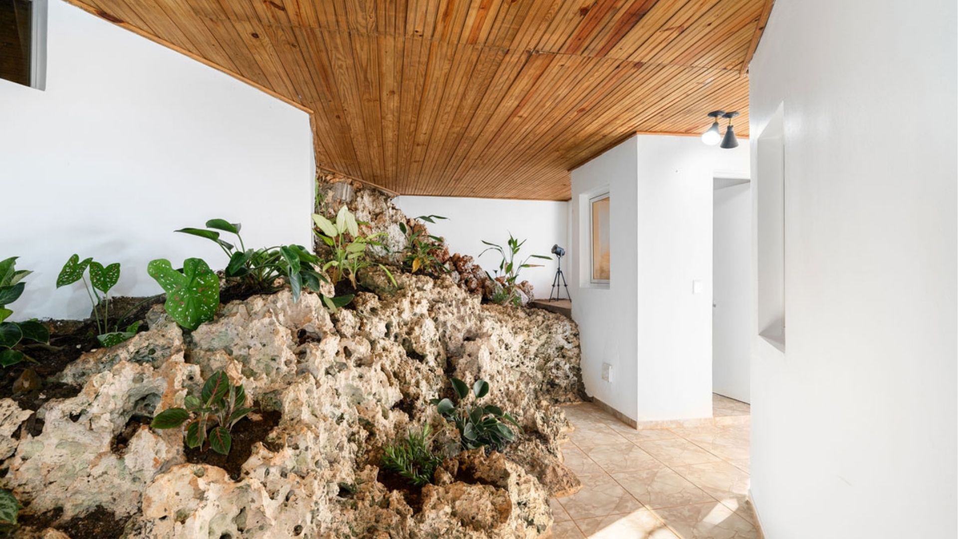 photo of property in dominican republic