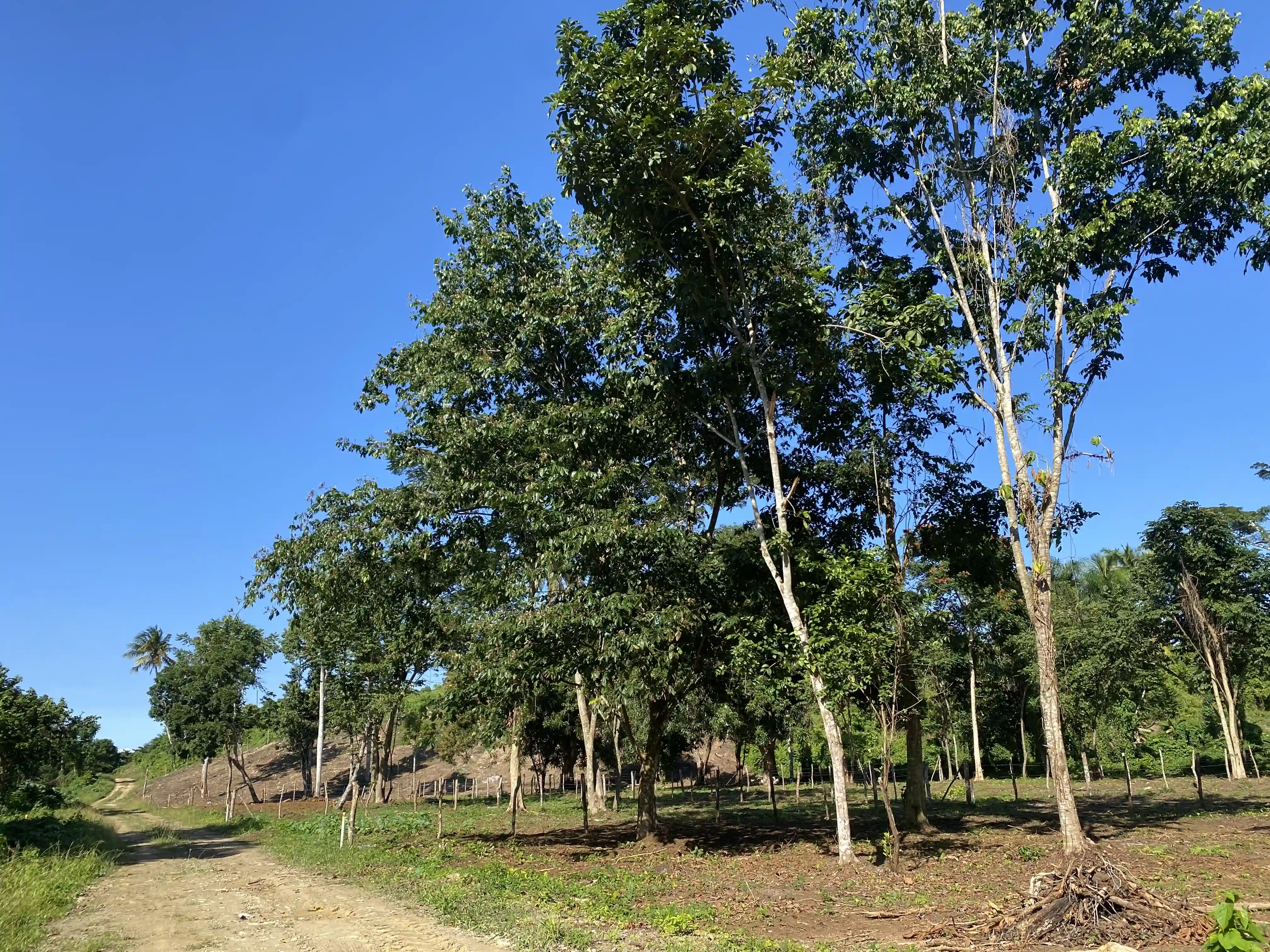 photo of property in dominican republic