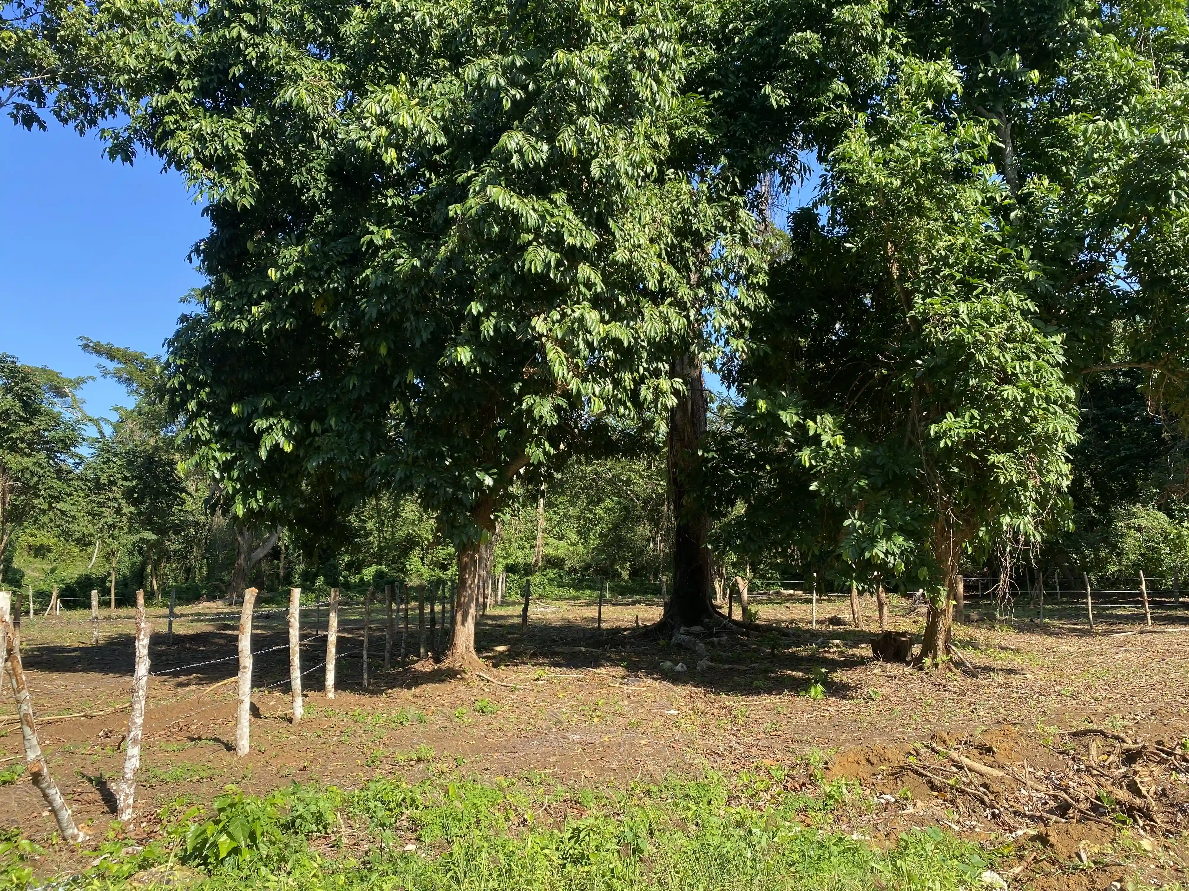 photo of property in dominican republic