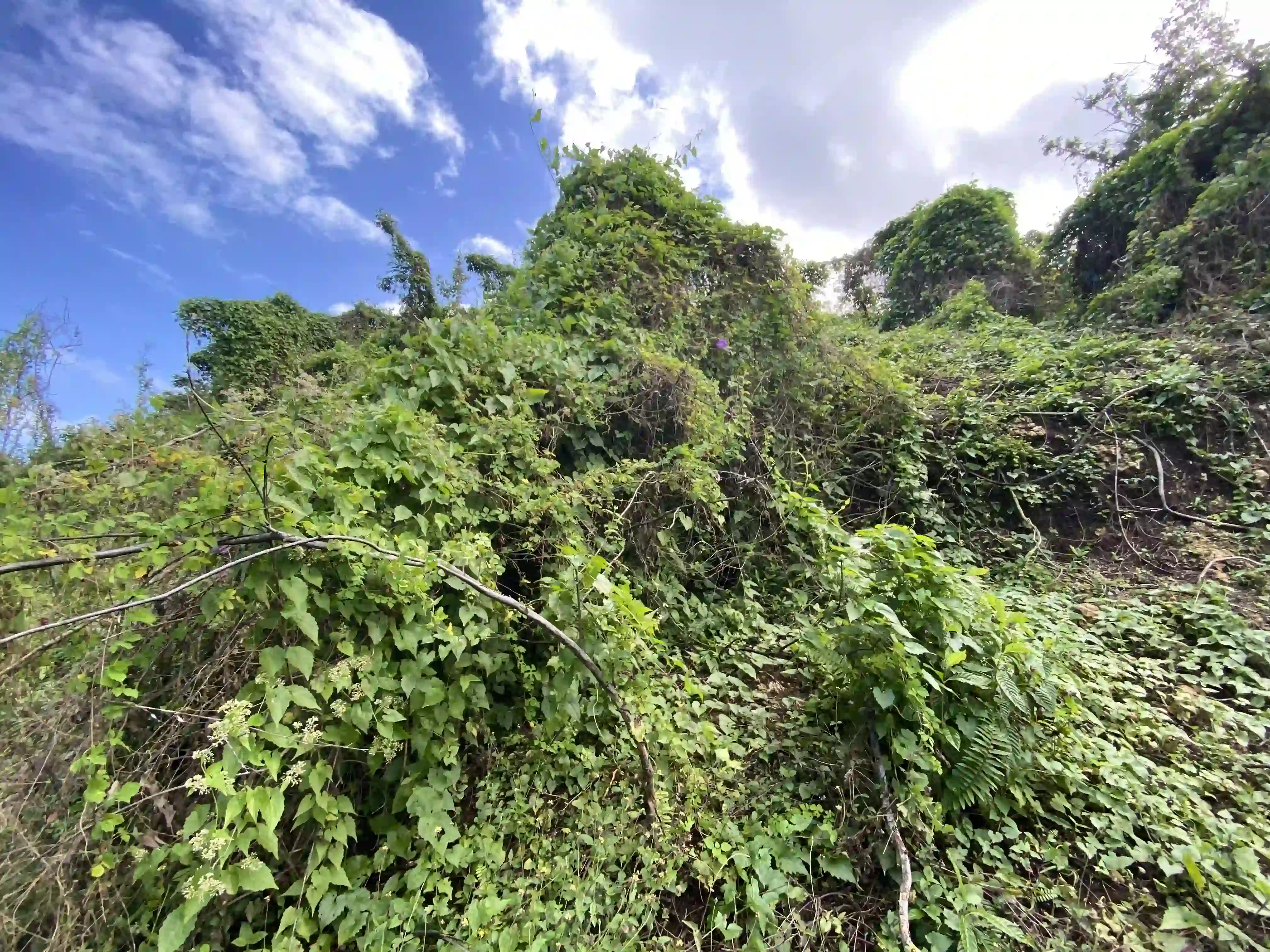 photo of property in dominican republic