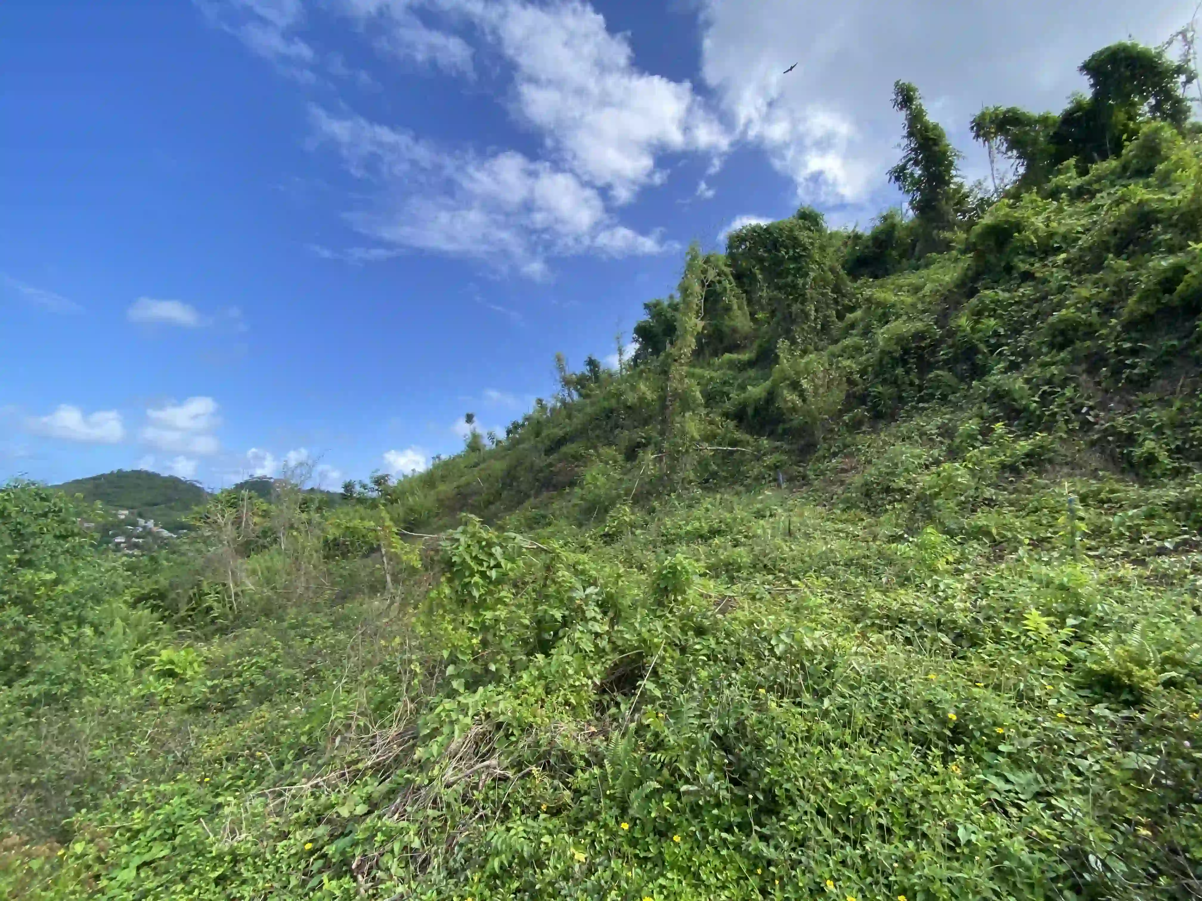 photo of property in dominican republic